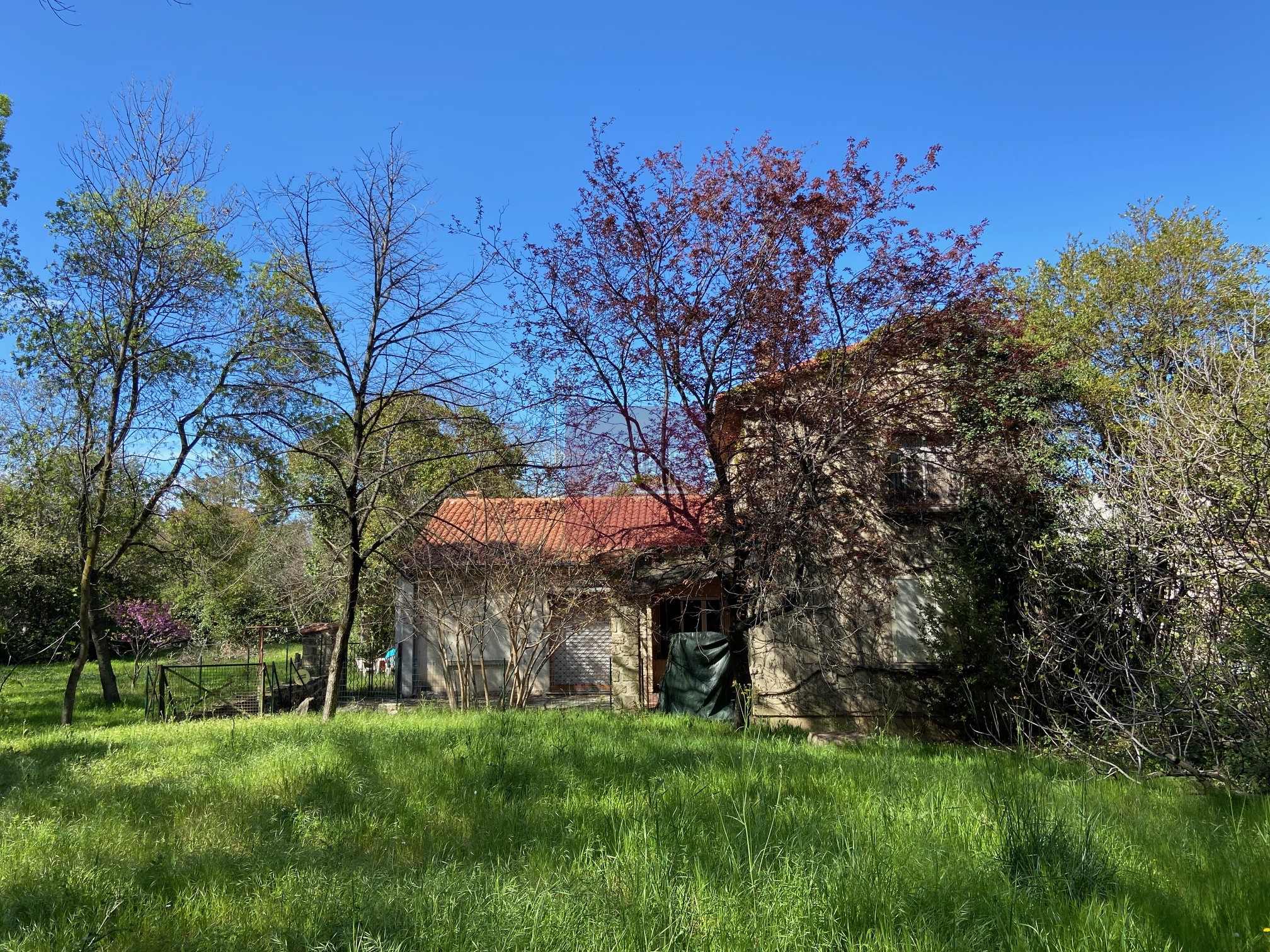 Vente Maison à Montpellier 7 pièces