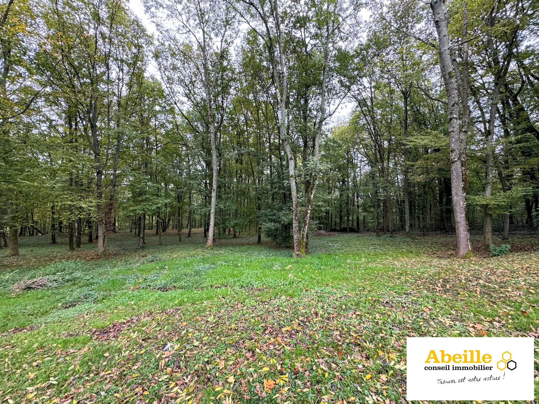 Vente Terrain à Saint-Chéron 0 pièce