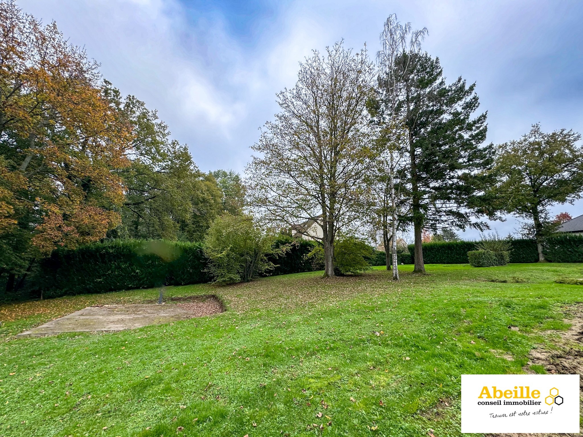 Vente Terrain à Saint-Chéron 0 pièce