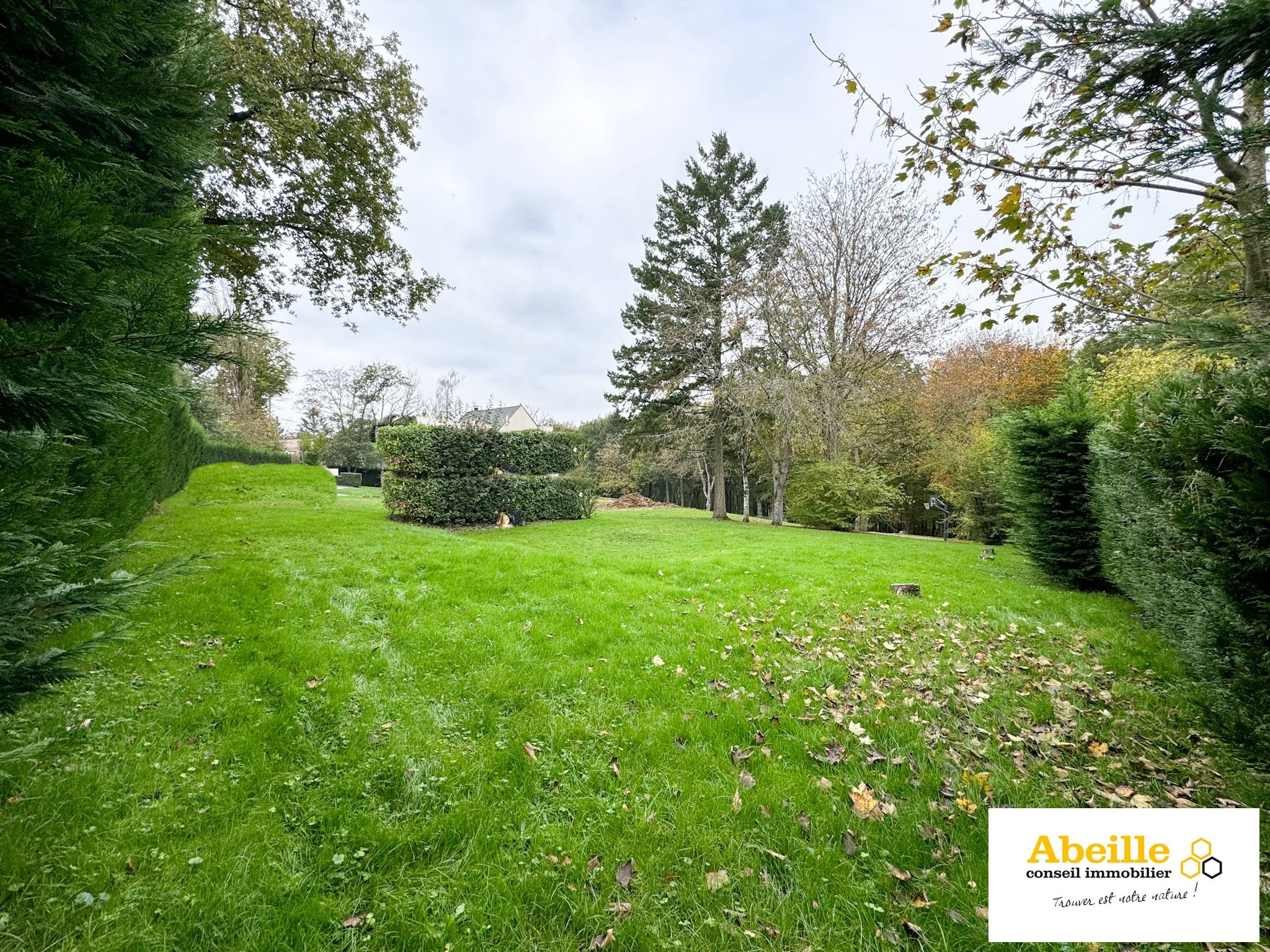 Vente Terrain à Saint-Chéron 0 pièce