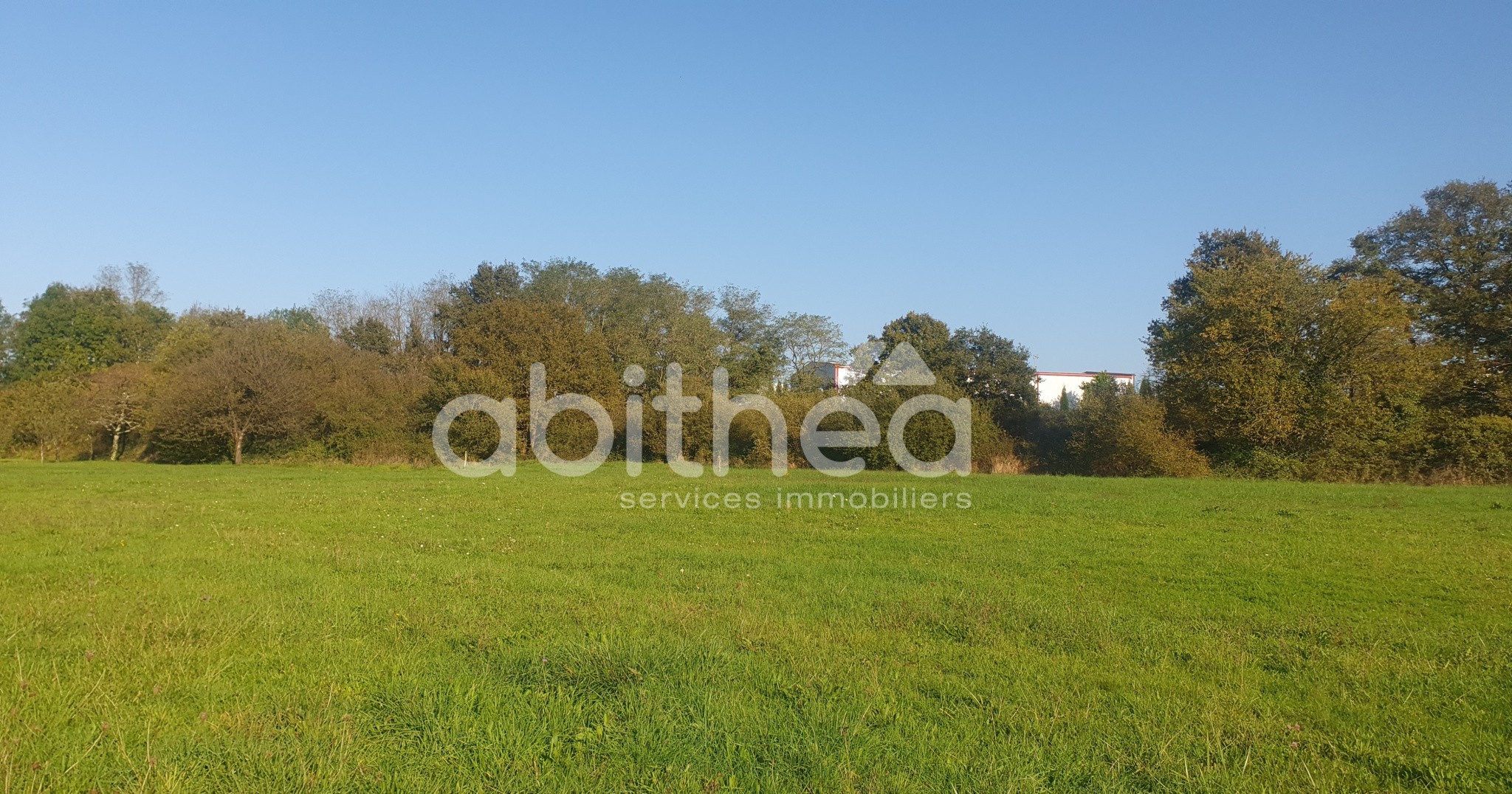 Vente Terrain à Roumazières-Loubert 0 pièce