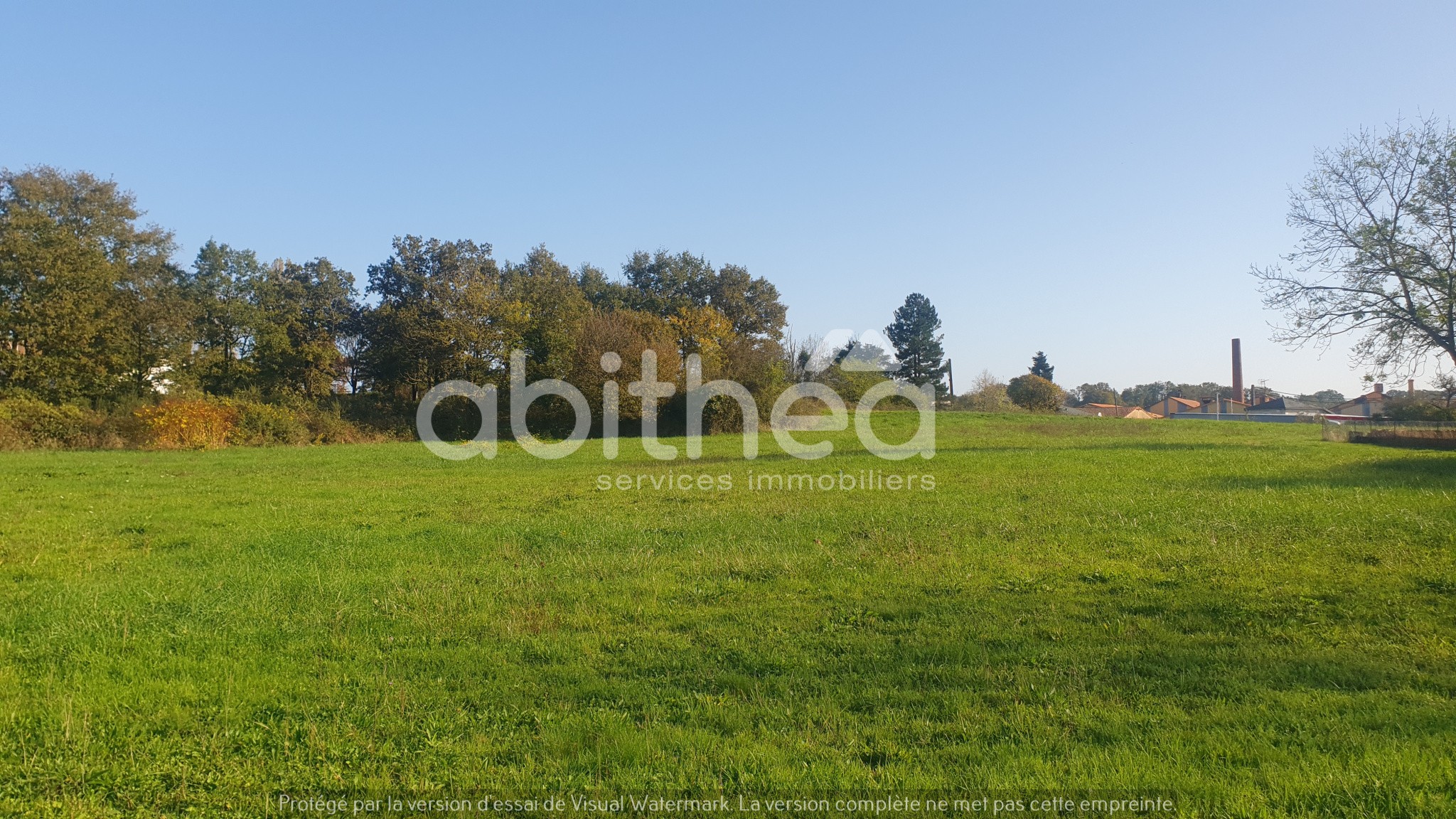 Vente Terrain à Roumazières-Loubert 0 pièce