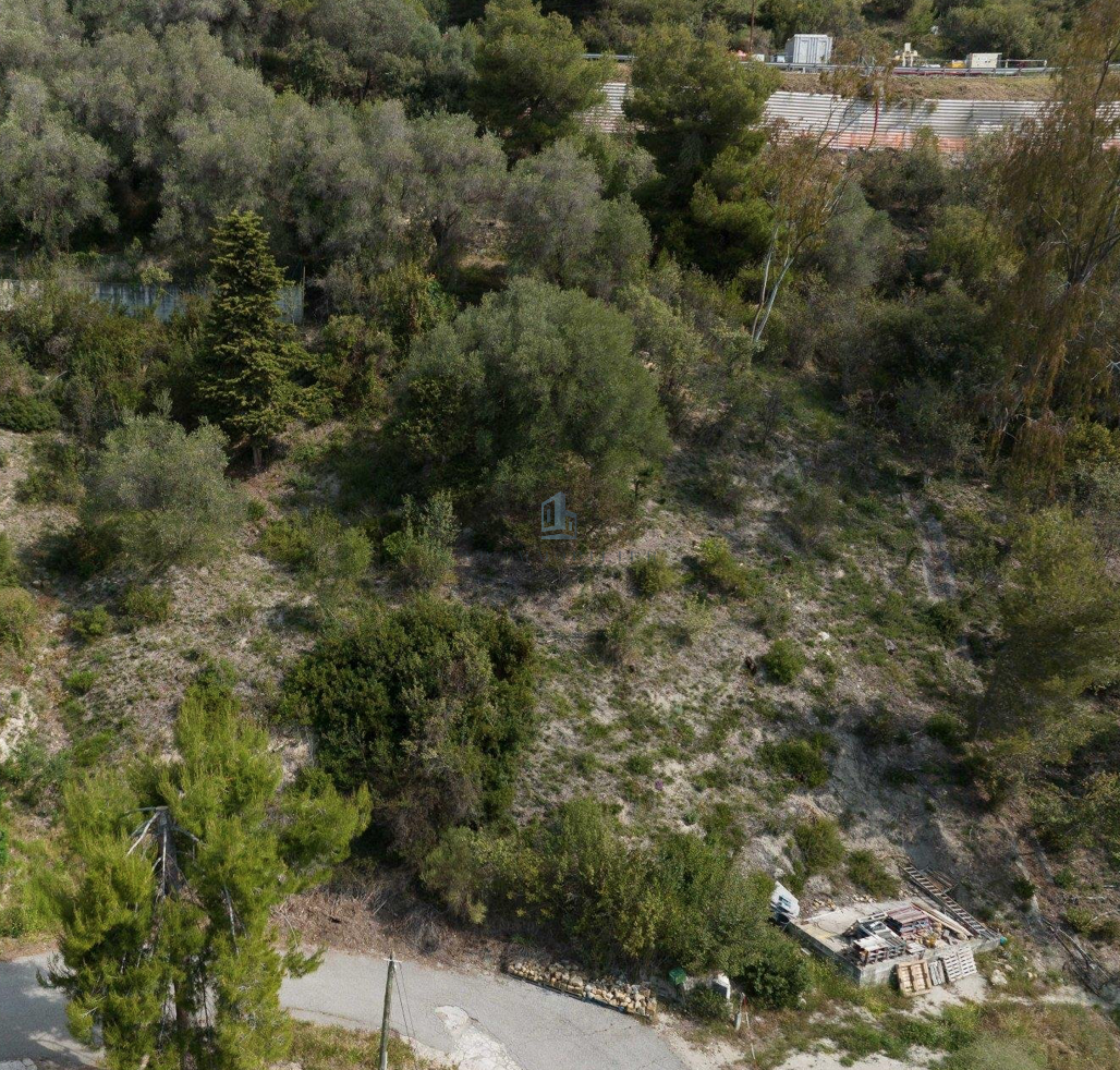 Vente Terrain à Menton 0 pièce