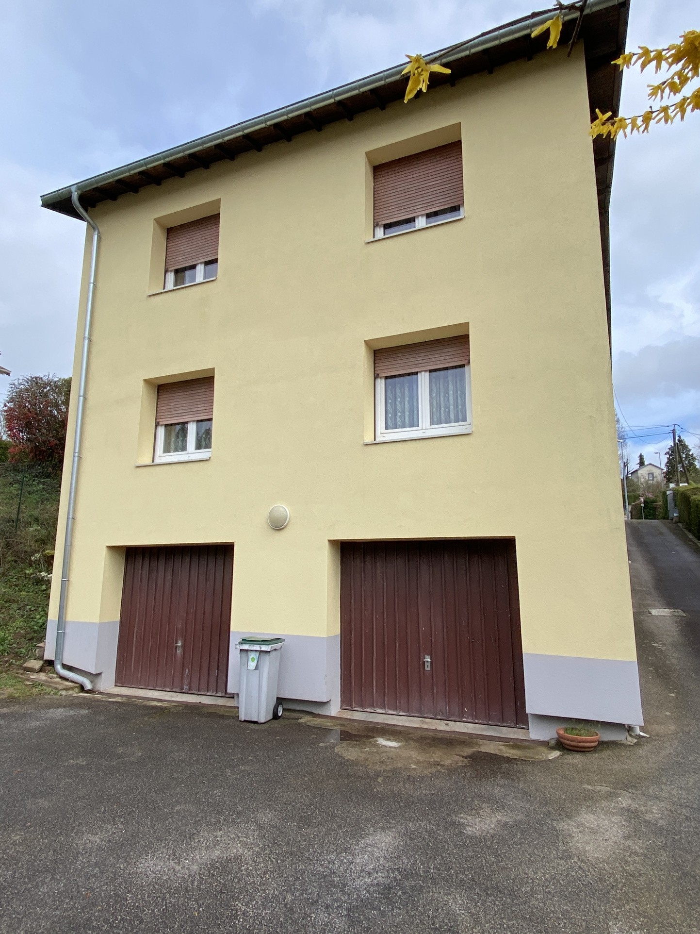 Vente Maison à Saint-Dié-des-Vosges 8 pièces