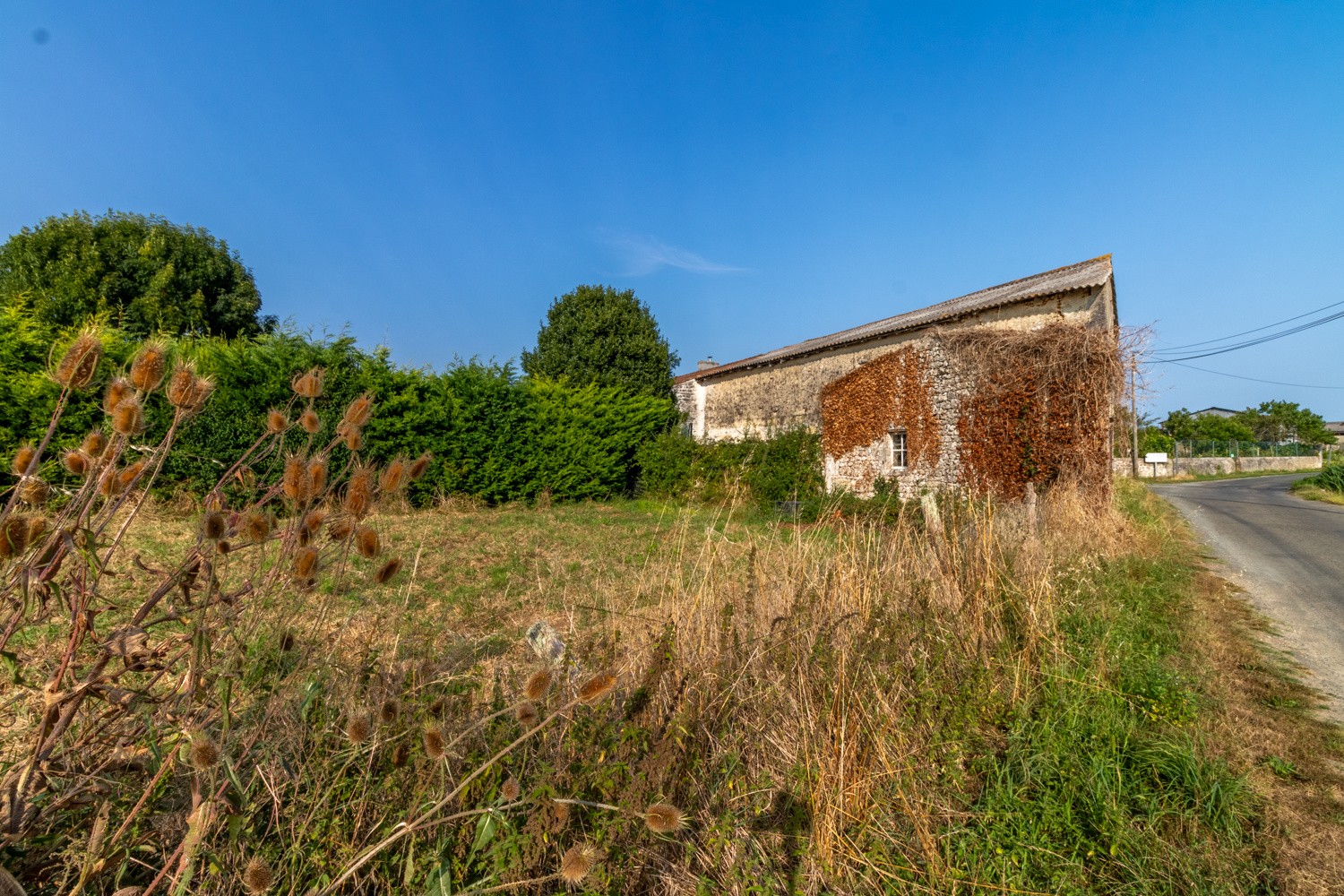 Vente Bureau / Commerce à Saint-Savinien 0 pièce