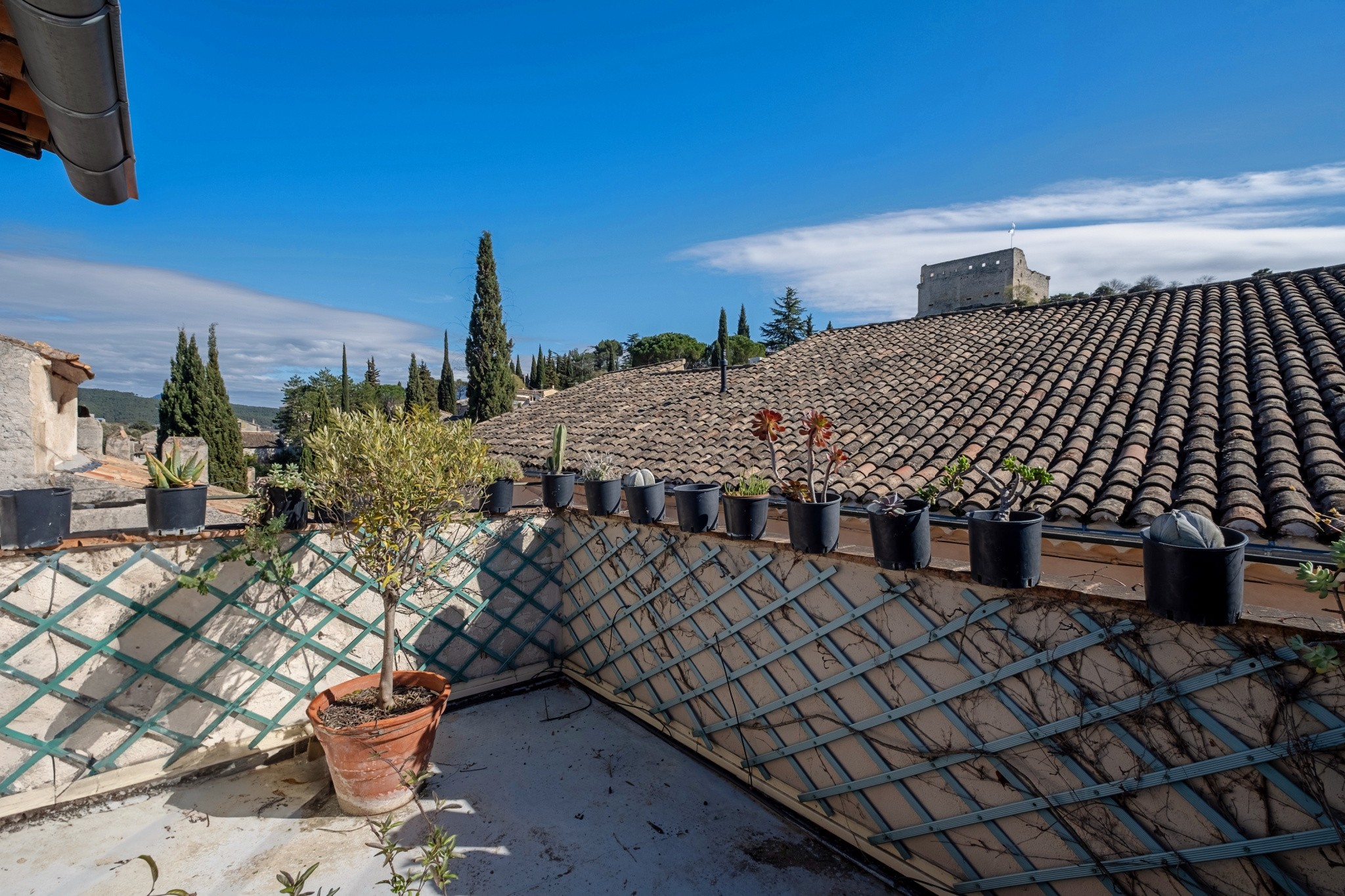 Vente Maison à Vaison-la-Romaine 17 pièces