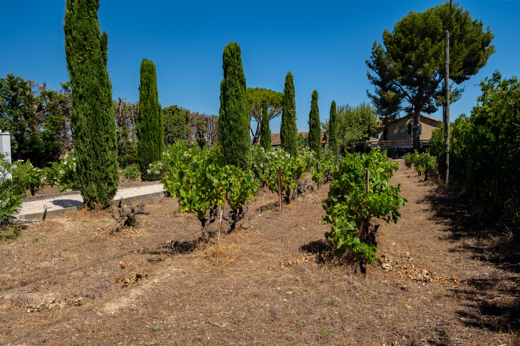 Vente Maison à Vacqueyras 7 pièces