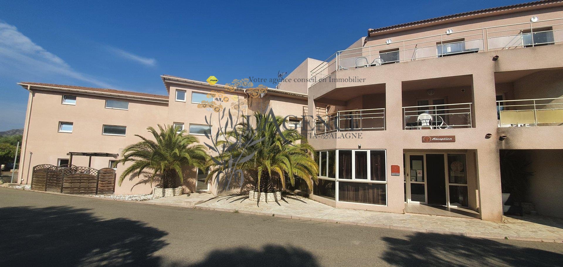 Vente Appartement à Saint-Florent 3 pièces