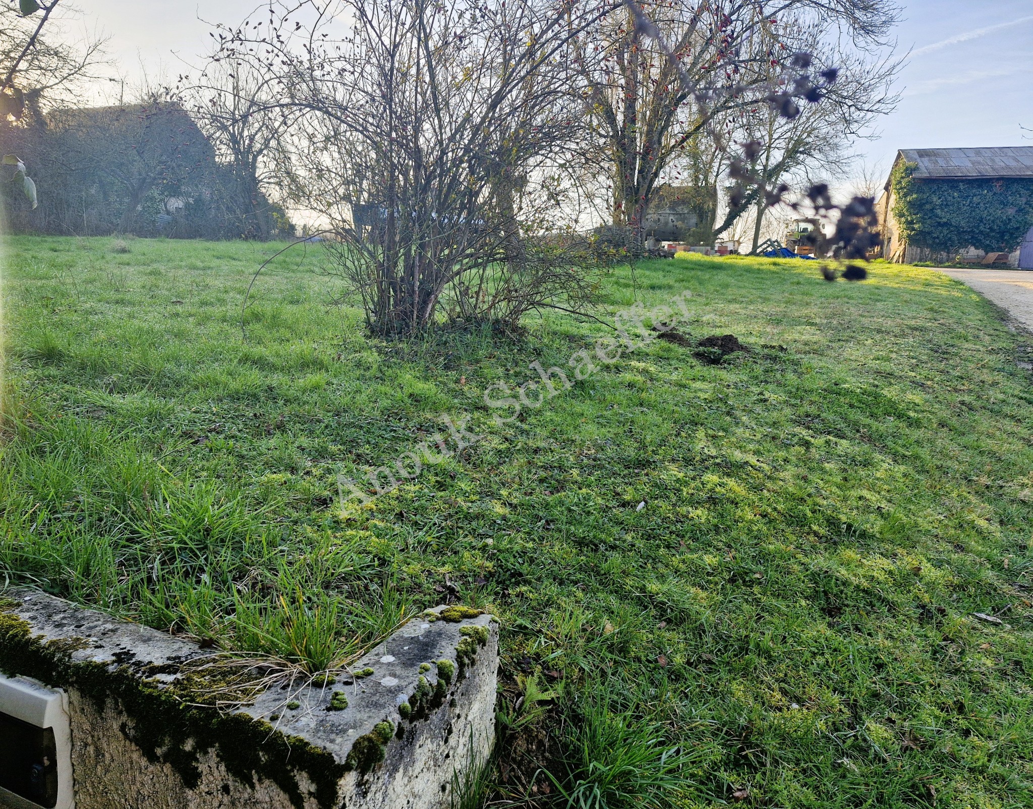 Vente Terrain à Beaune 0 pièce