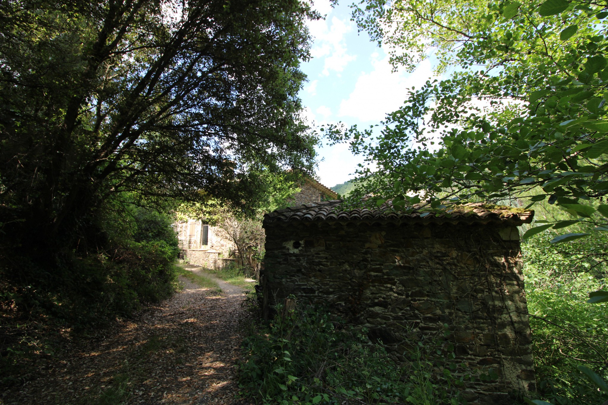 Vente Maison à Saint-Jean-du-Gard 11 pièces