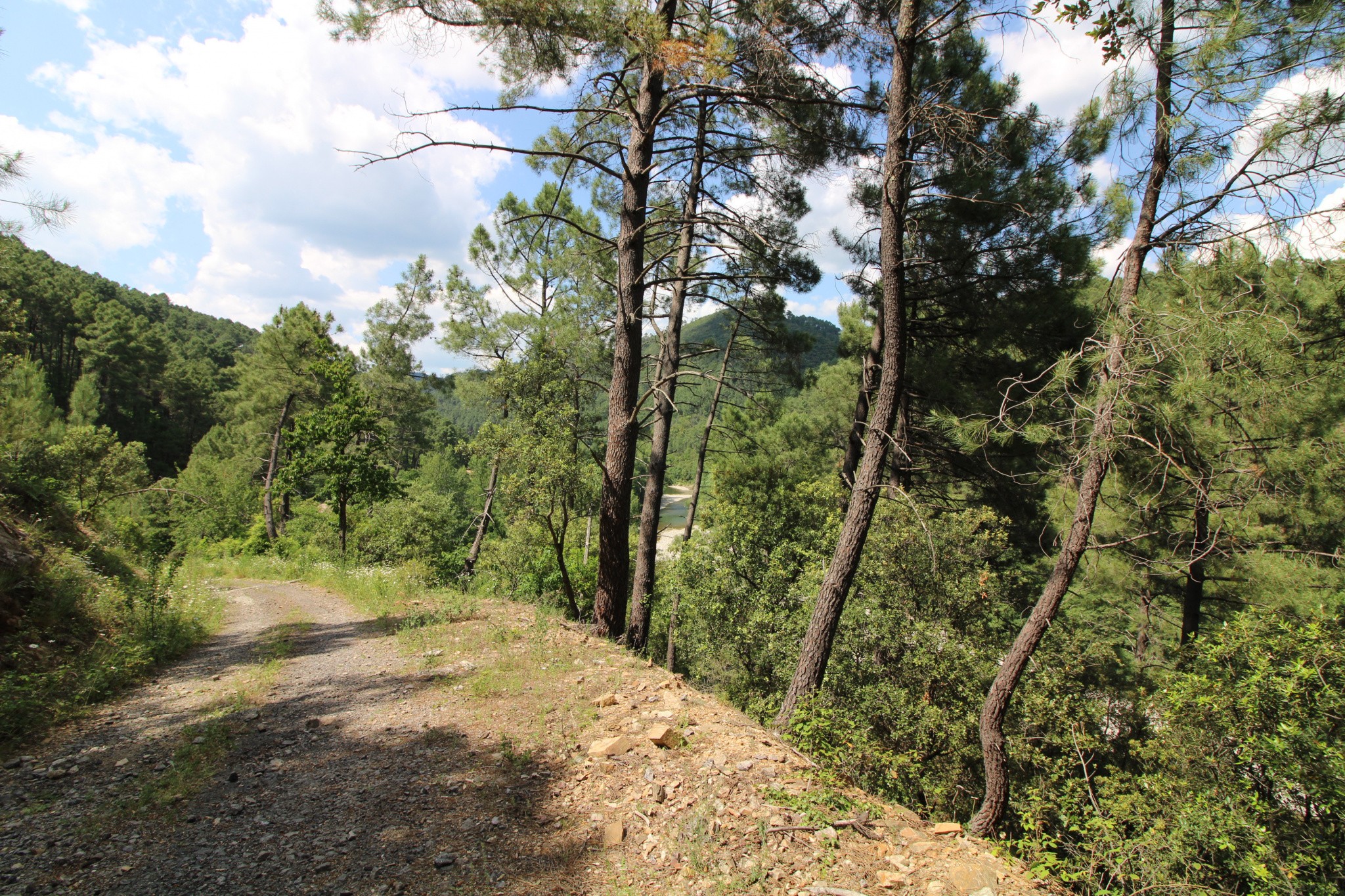 Vente Maison à Anduze 11 pièces