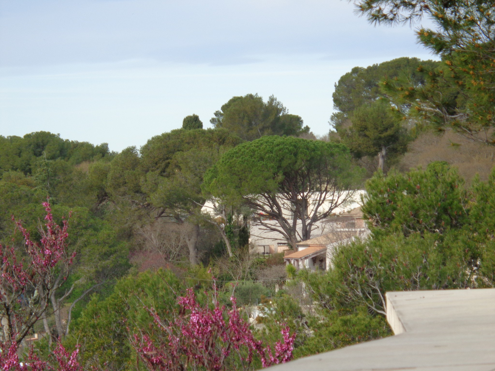 Vente Maison à Nîmes 6 pièces