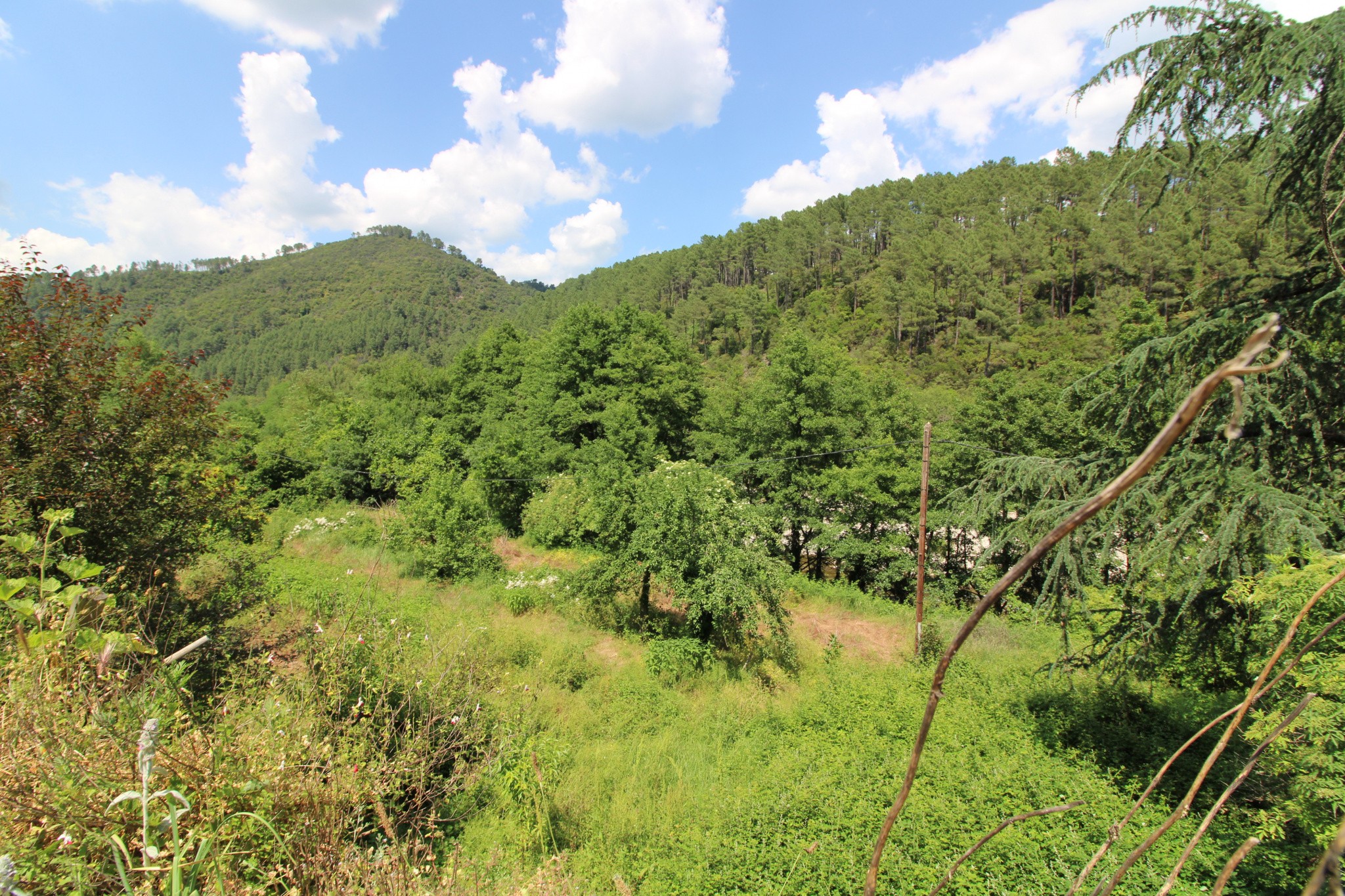 Vente Maison à Anduze 11 pièces