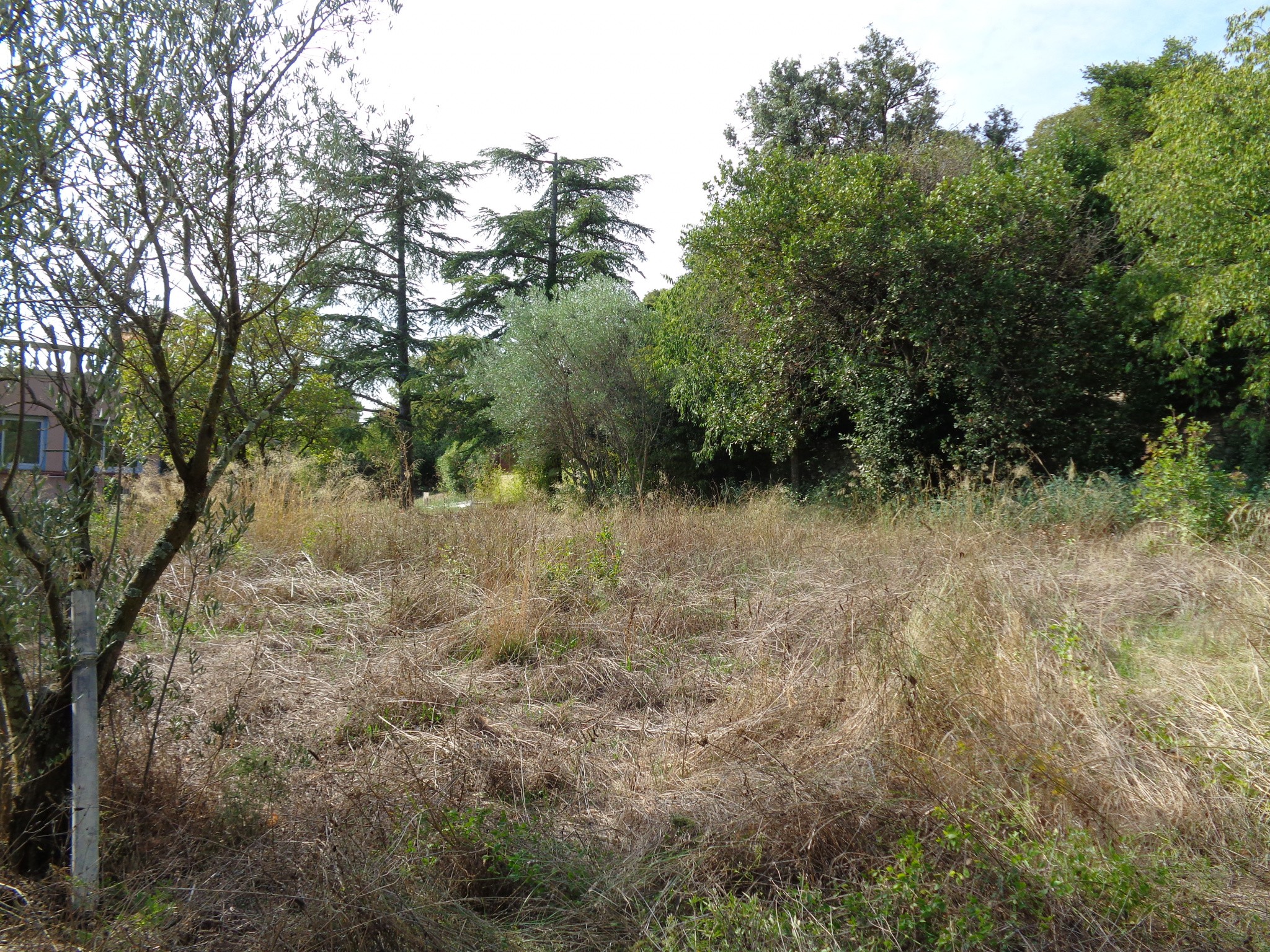 Vente Terrain à Nîmes 0 pièce