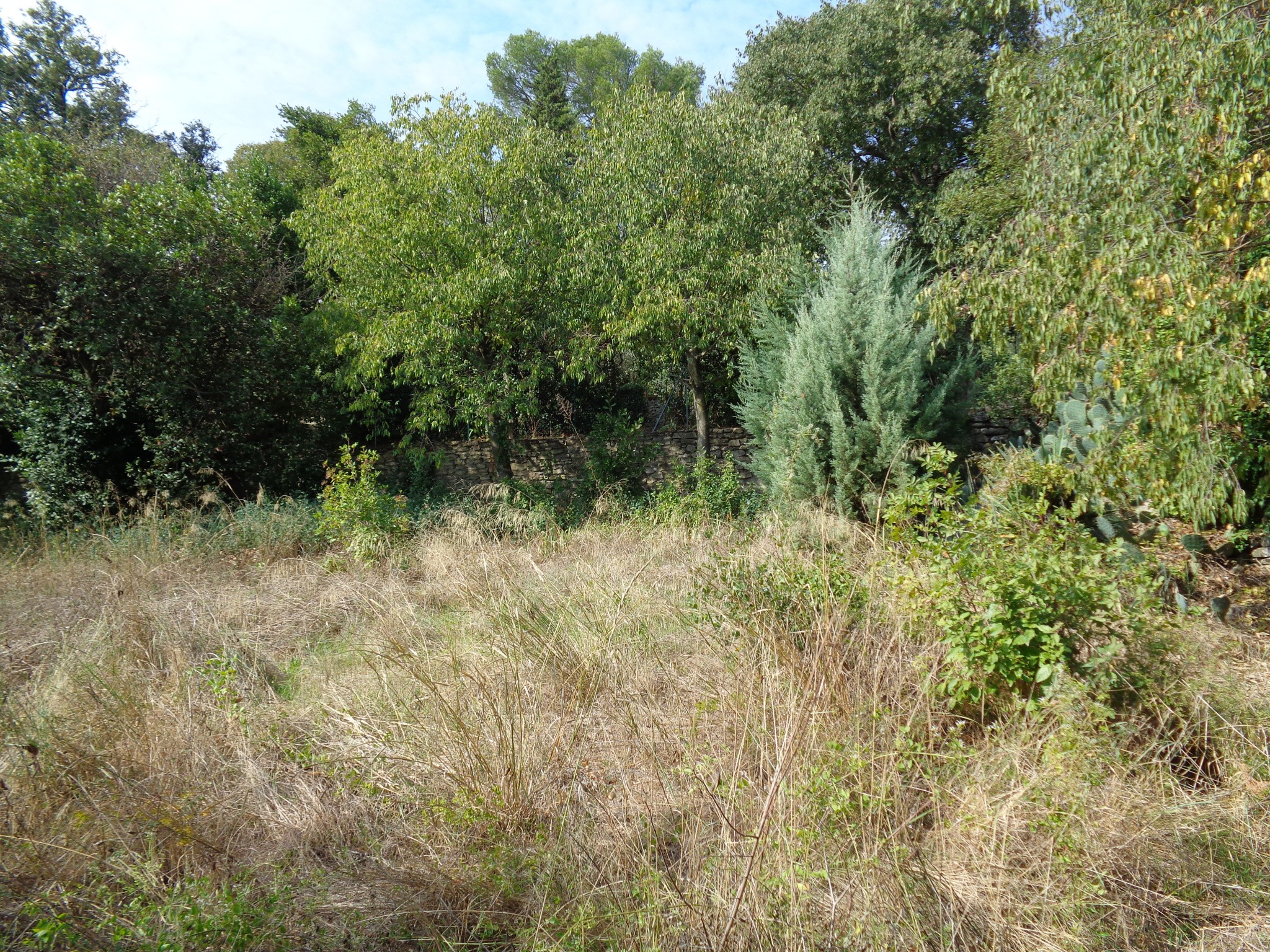 Vente Terrain à Nîmes 0 pièce