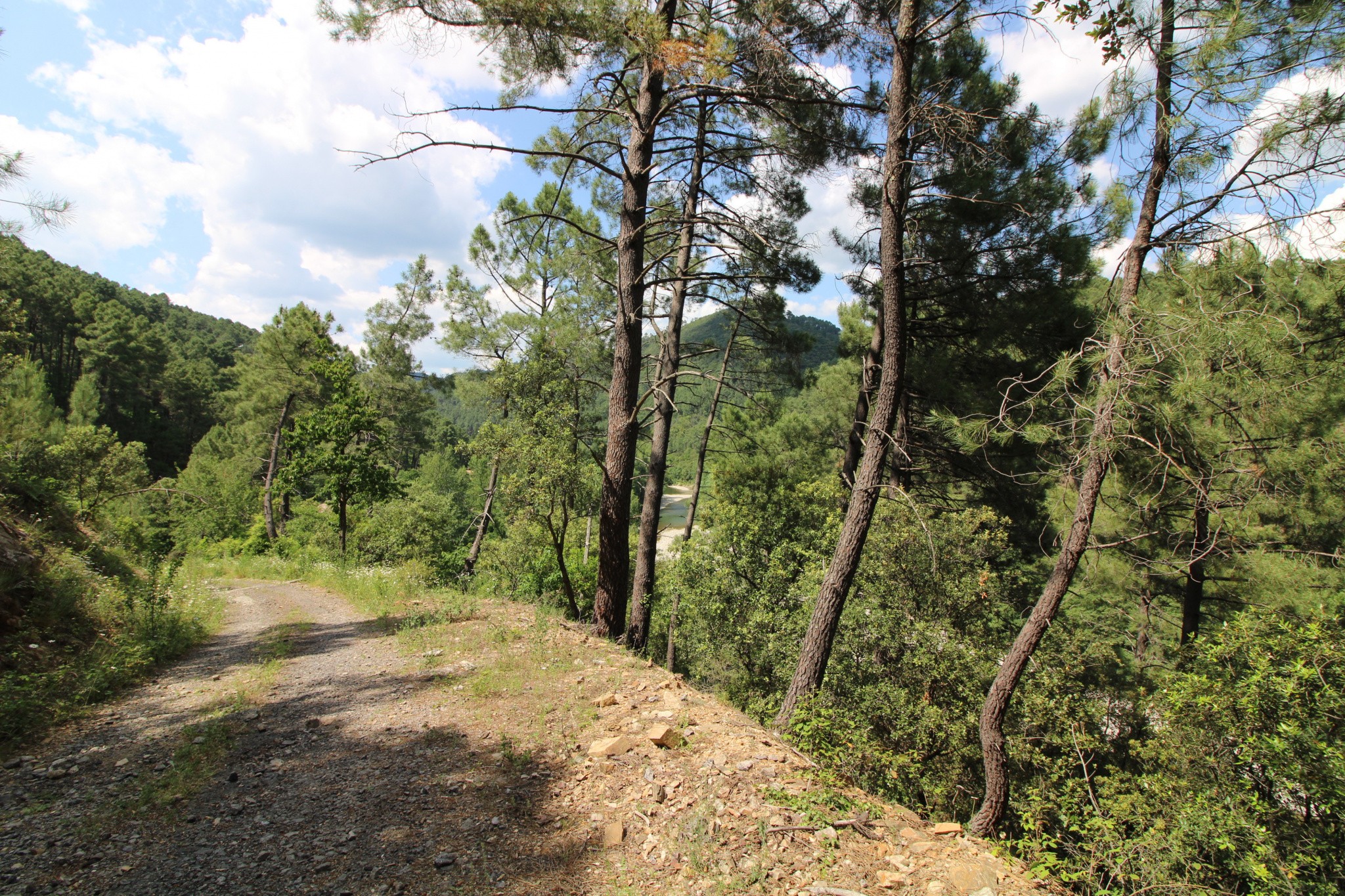 Vente Maison à Anduze 20 pièces