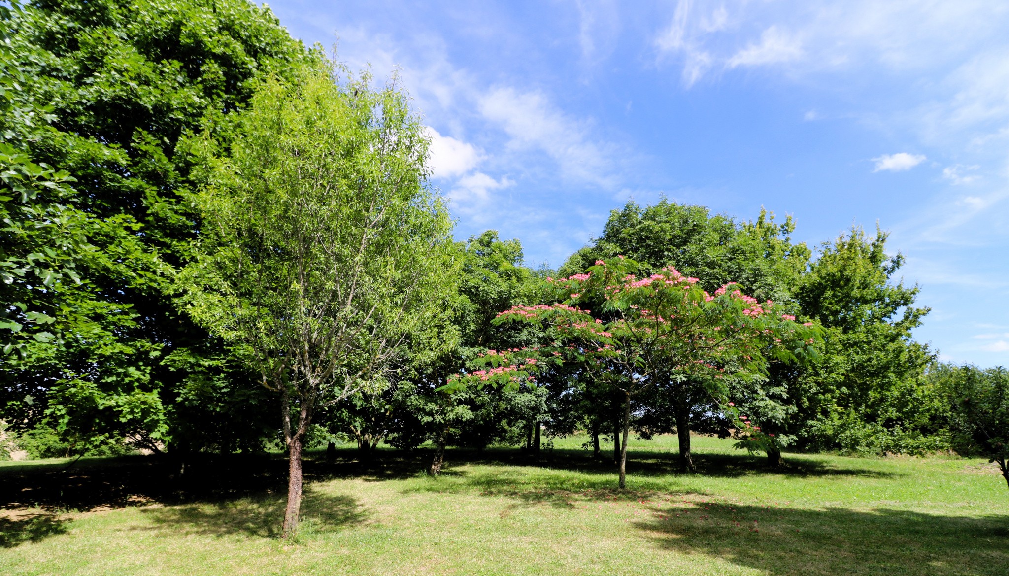 Vente Maison à Lombez 10 pièces