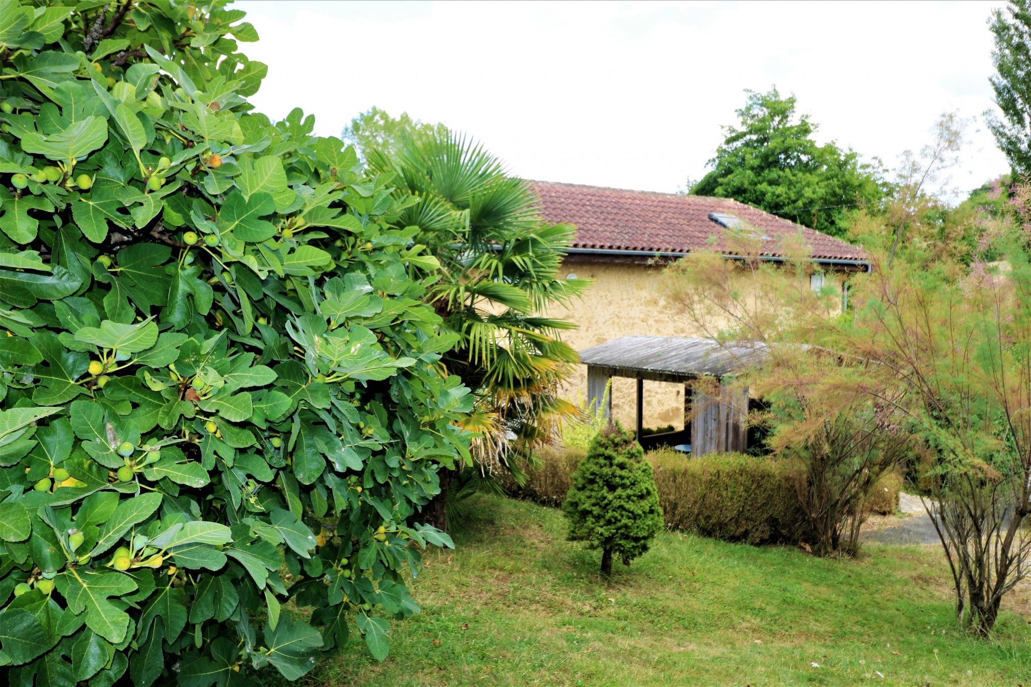 Vente Maison à Marciac 18 pièces