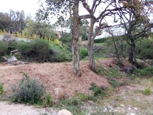 Vente Terrain à Vidauban 0 pièce