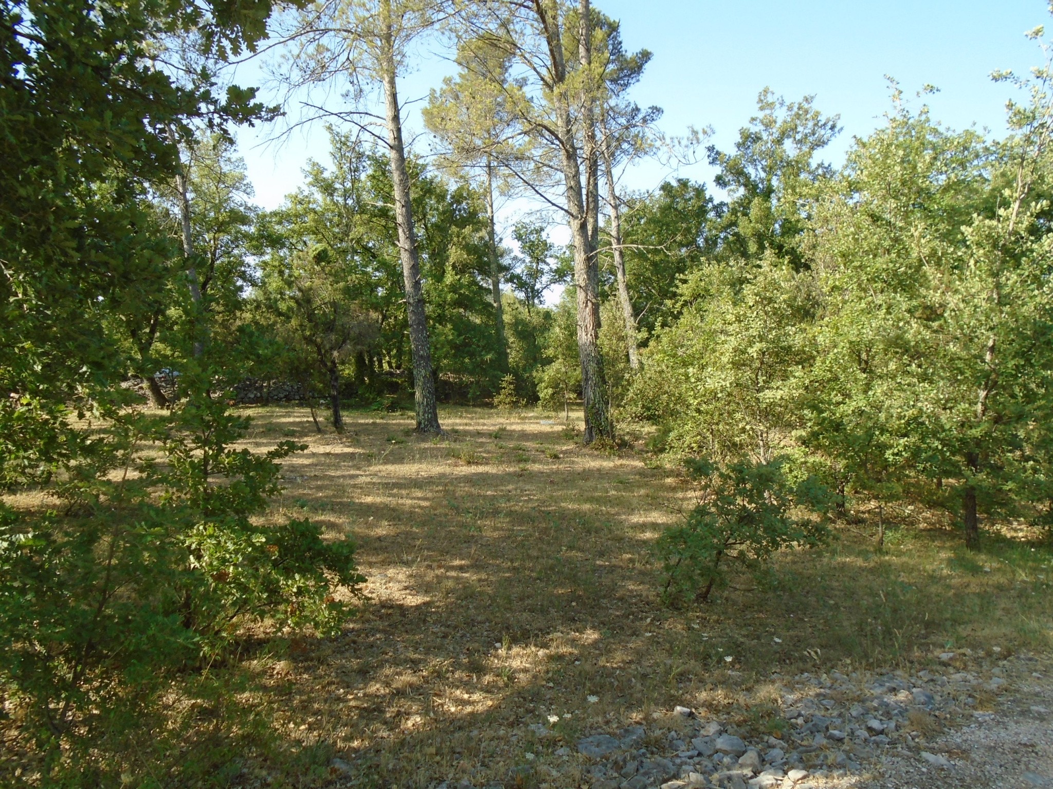 Vente Terrain à Cotignac 2 pièces