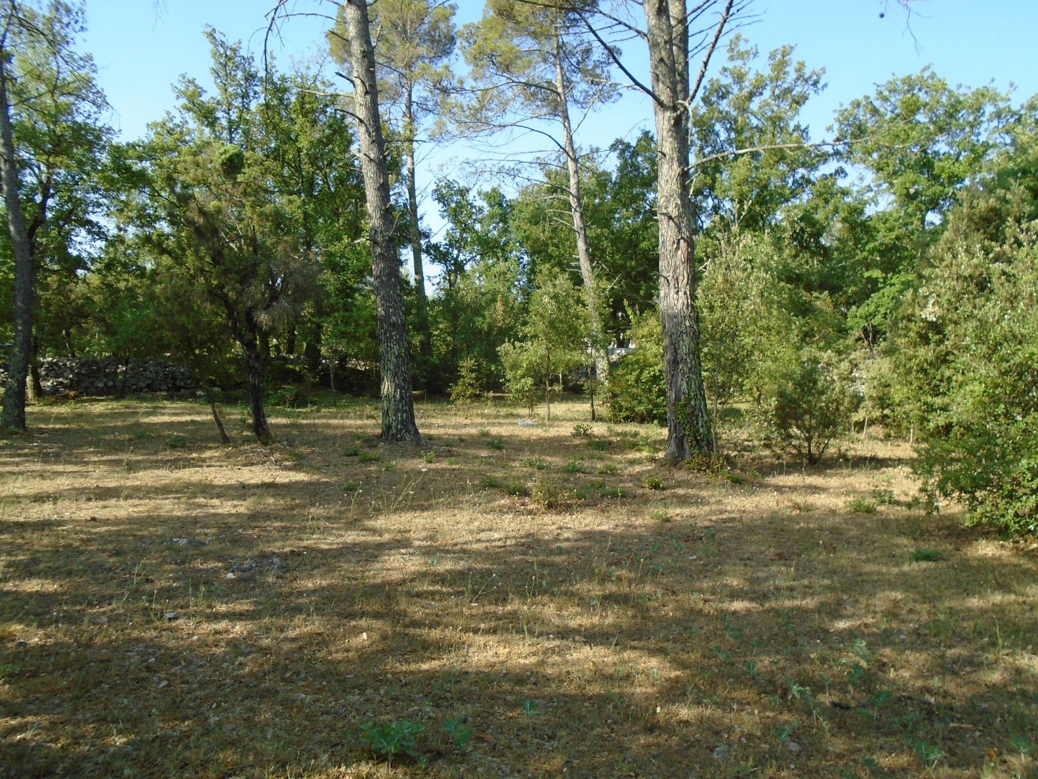 Vente Terrain à Cotignac 2 pièces