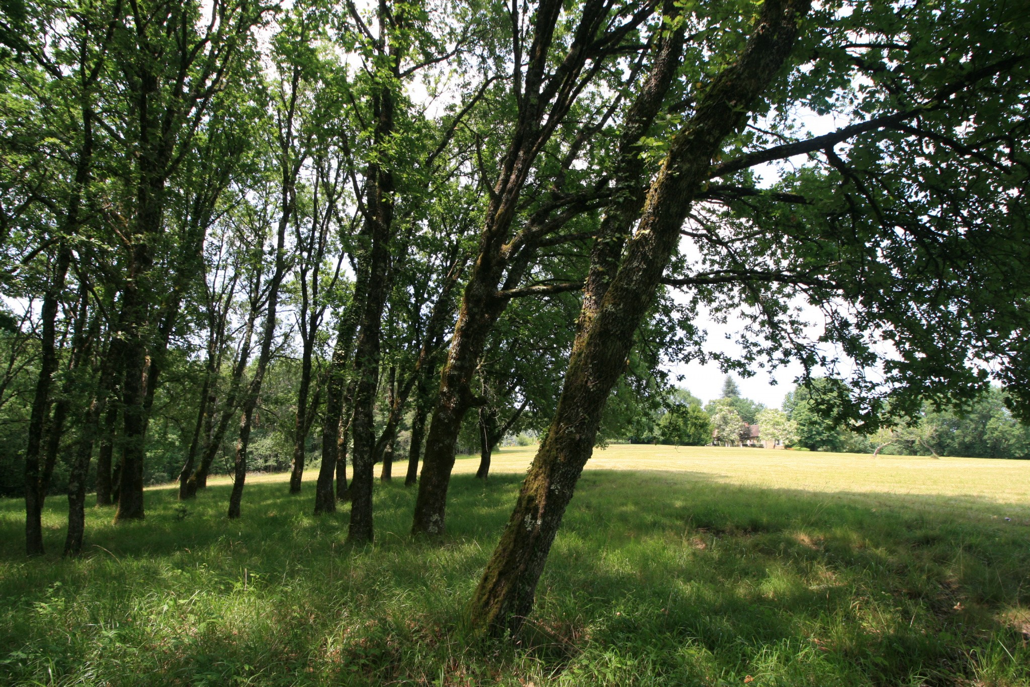 Vente Maison à les Eyzies-de-Tayac-Sireuil 9 pièces