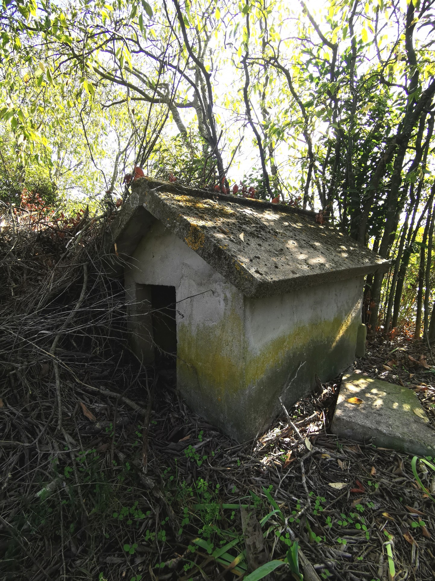 Vente Maison à Nîmes 2 pièces