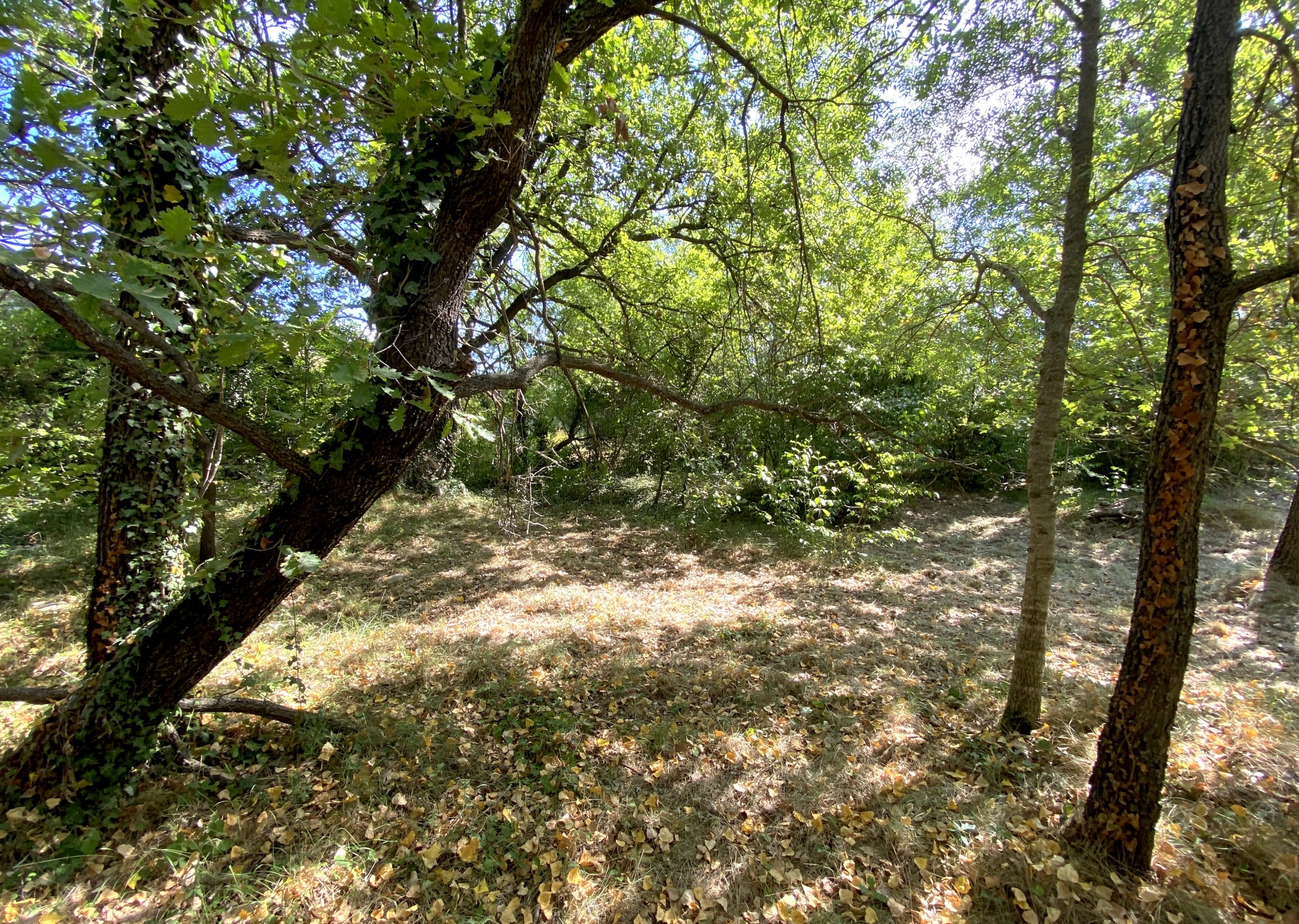 Vente Terrain à Buis-les-Baronnies 0 pièce