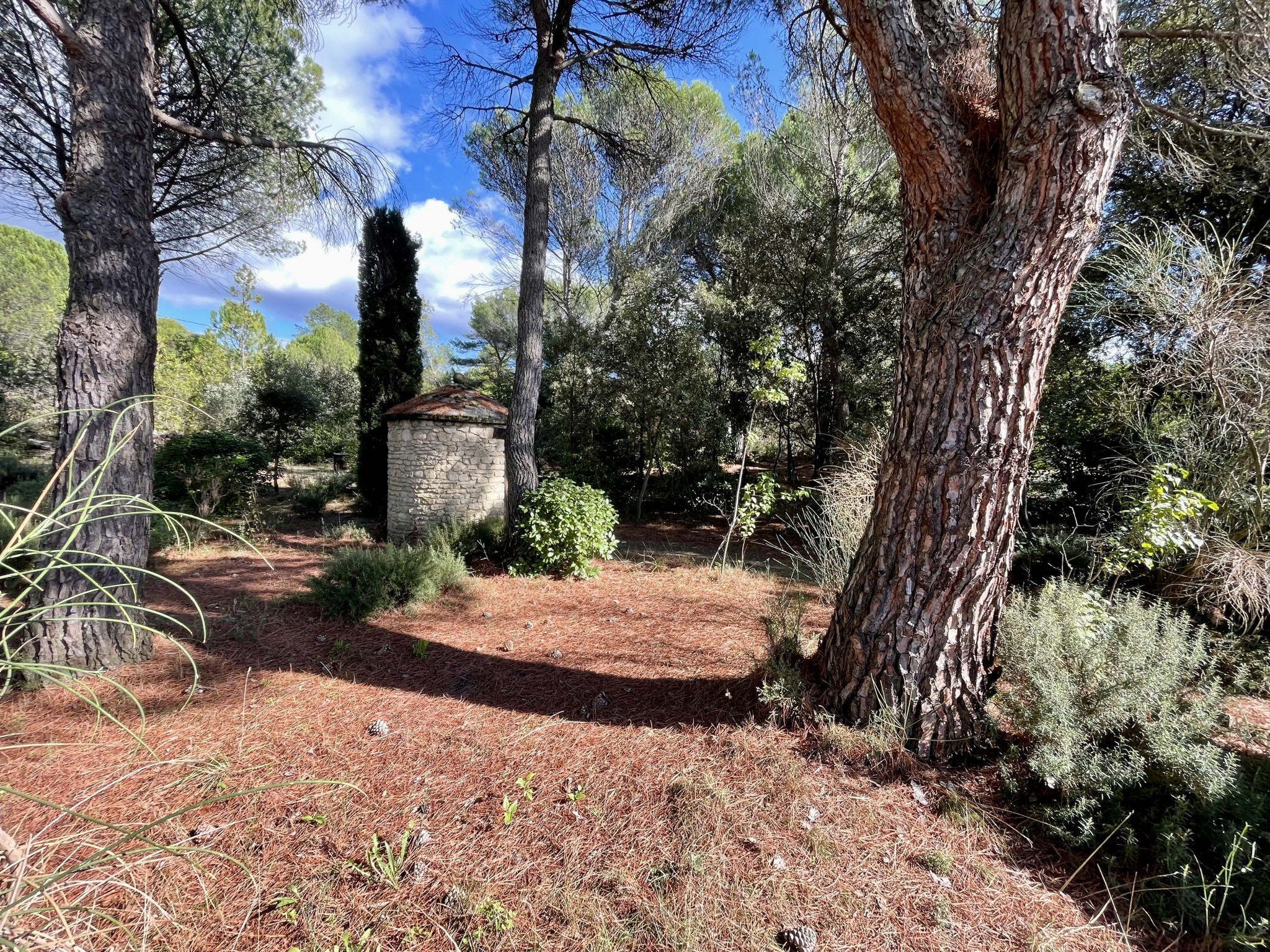 Vente Maison à Vaison-la-Romaine 5 pièces