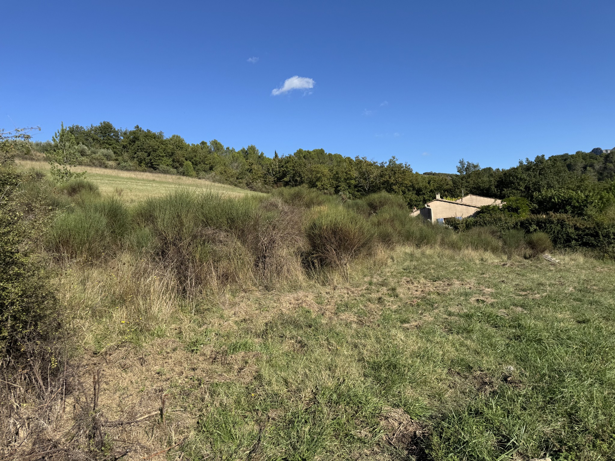 Vente Terrain à Buis-les-Baronnies 0 pièce