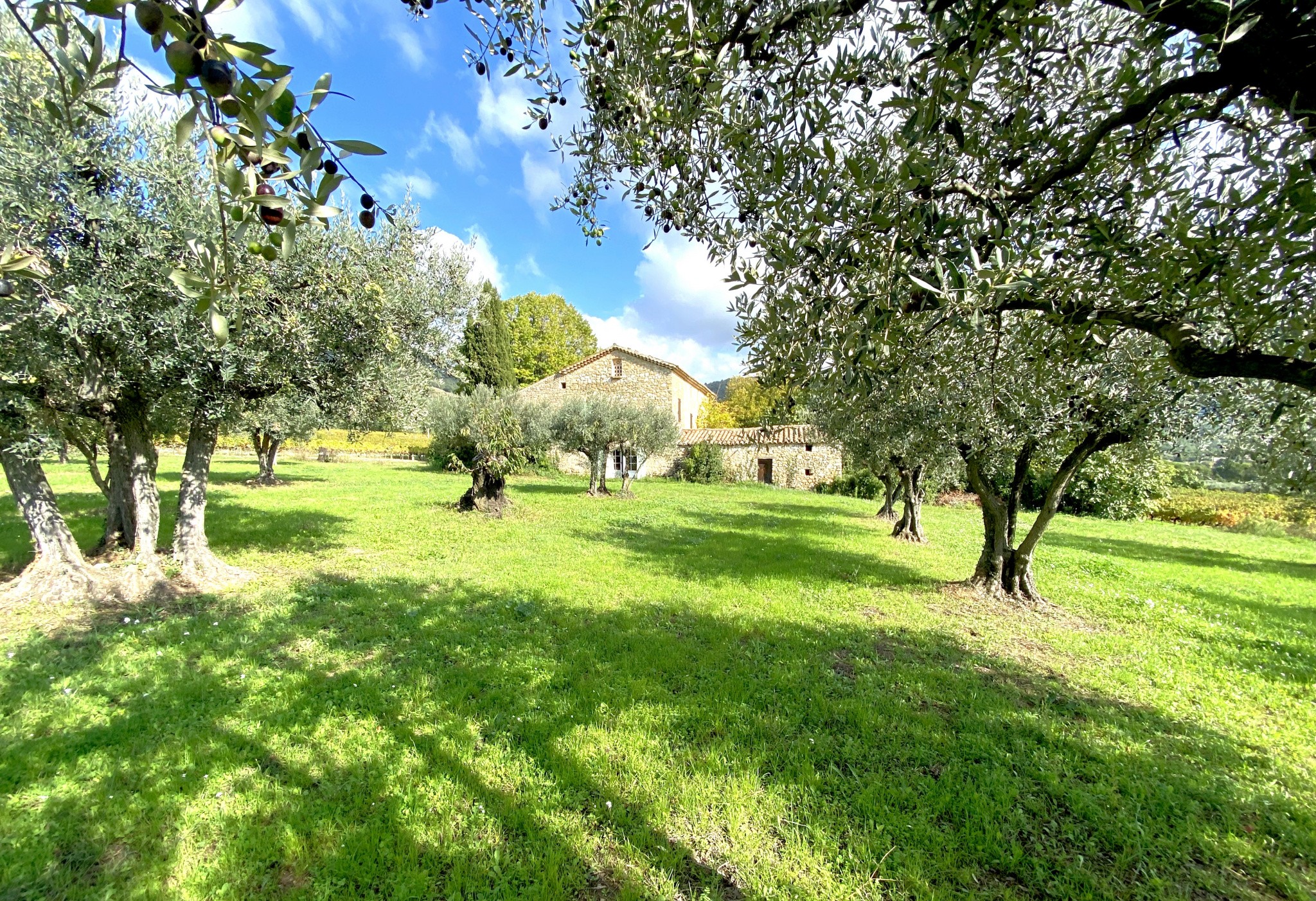 Vente Maison à Vaison-la-Romaine 8 pièces