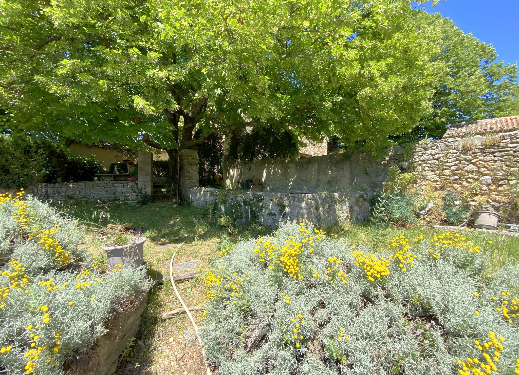 Vente Maison à Vaison-la-Romaine 8 pièces