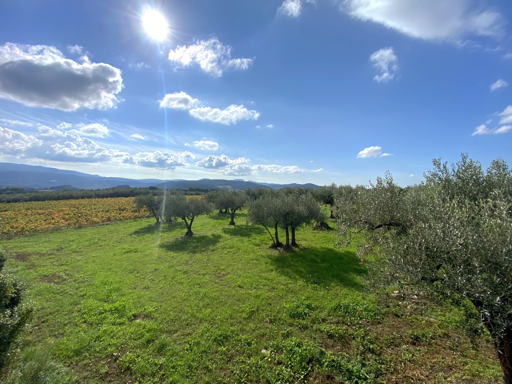 Vente Maison à Vaison-la-Romaine 8 pièces