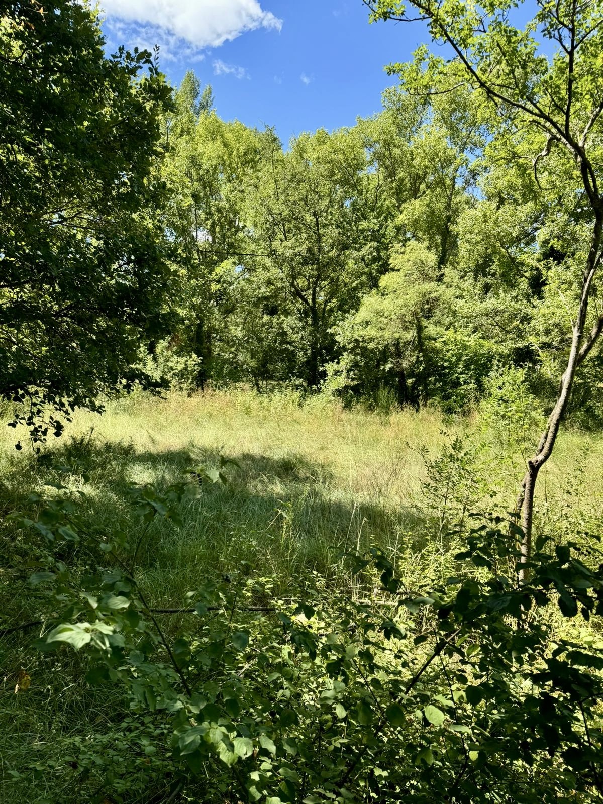 Vente Terrain à Buis-les-Baronnies 0 pièce