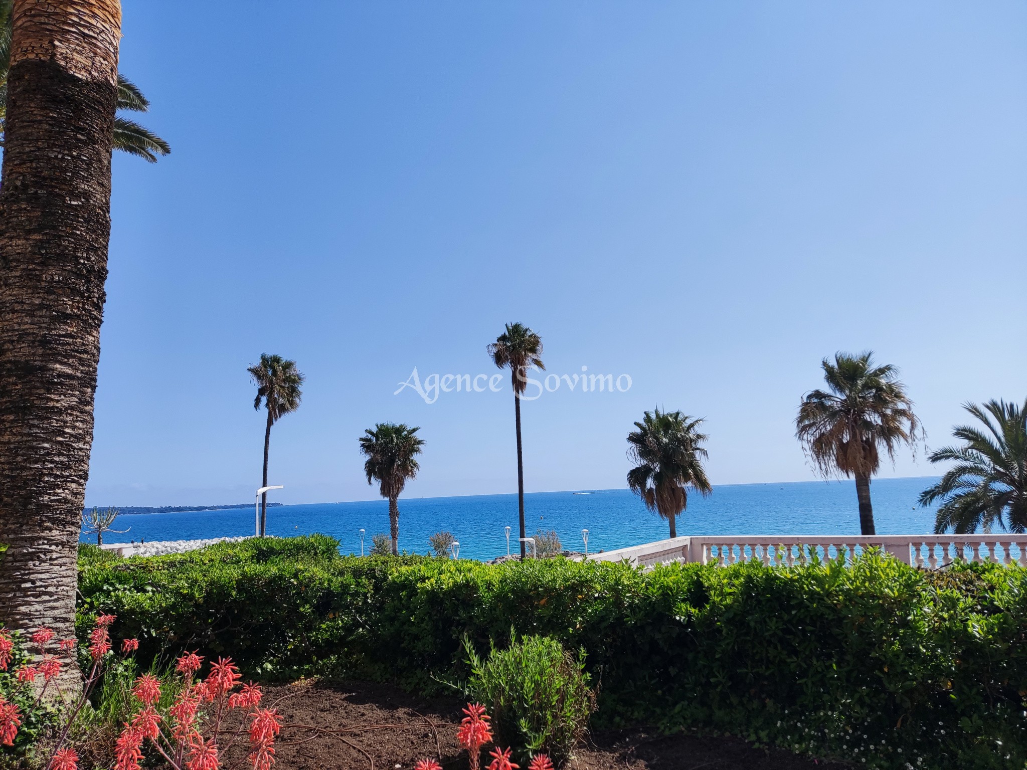 Location Appartement à Cannes 2 pièces