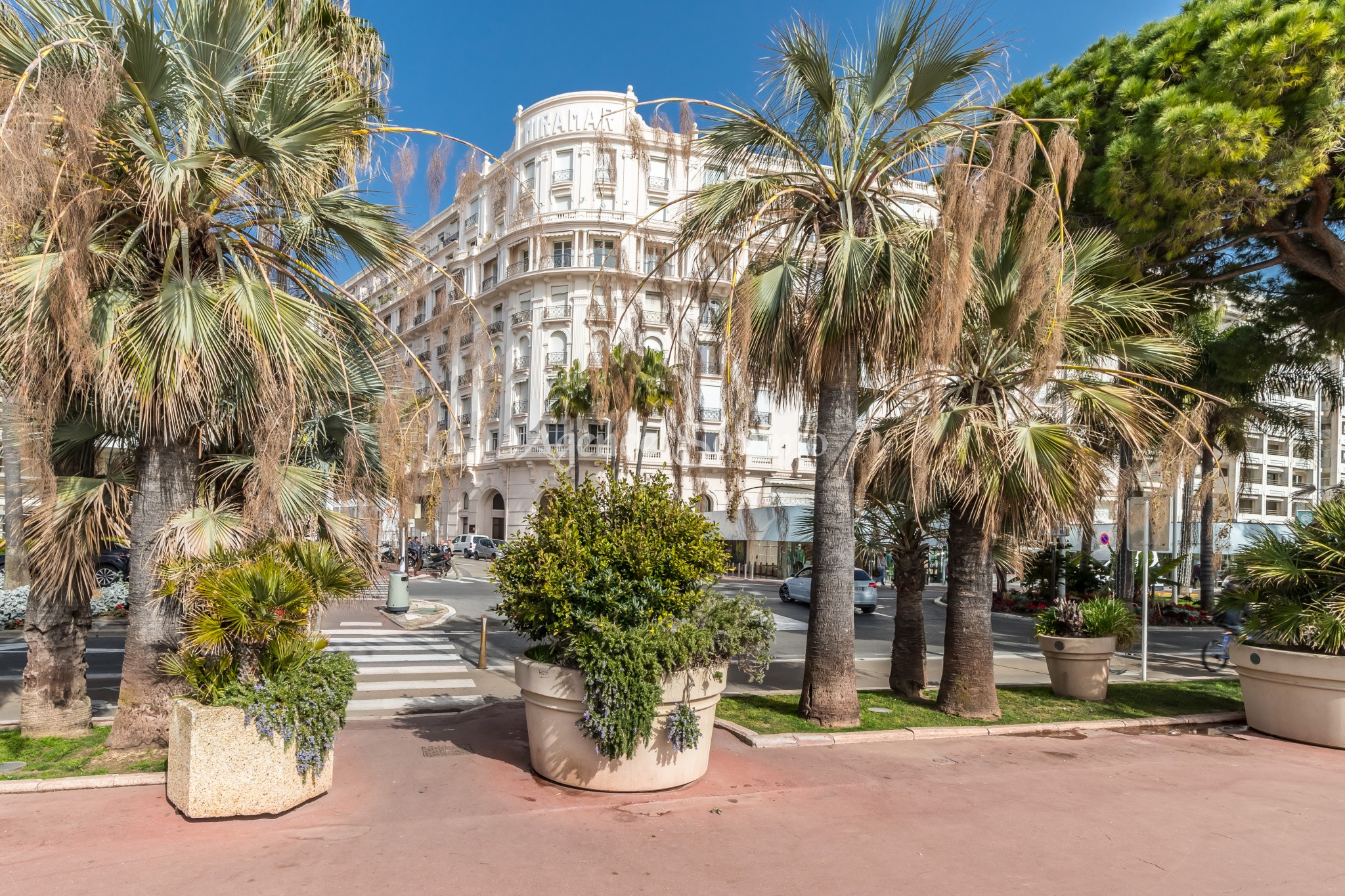 Location Appartement à Cannes 1 pièce