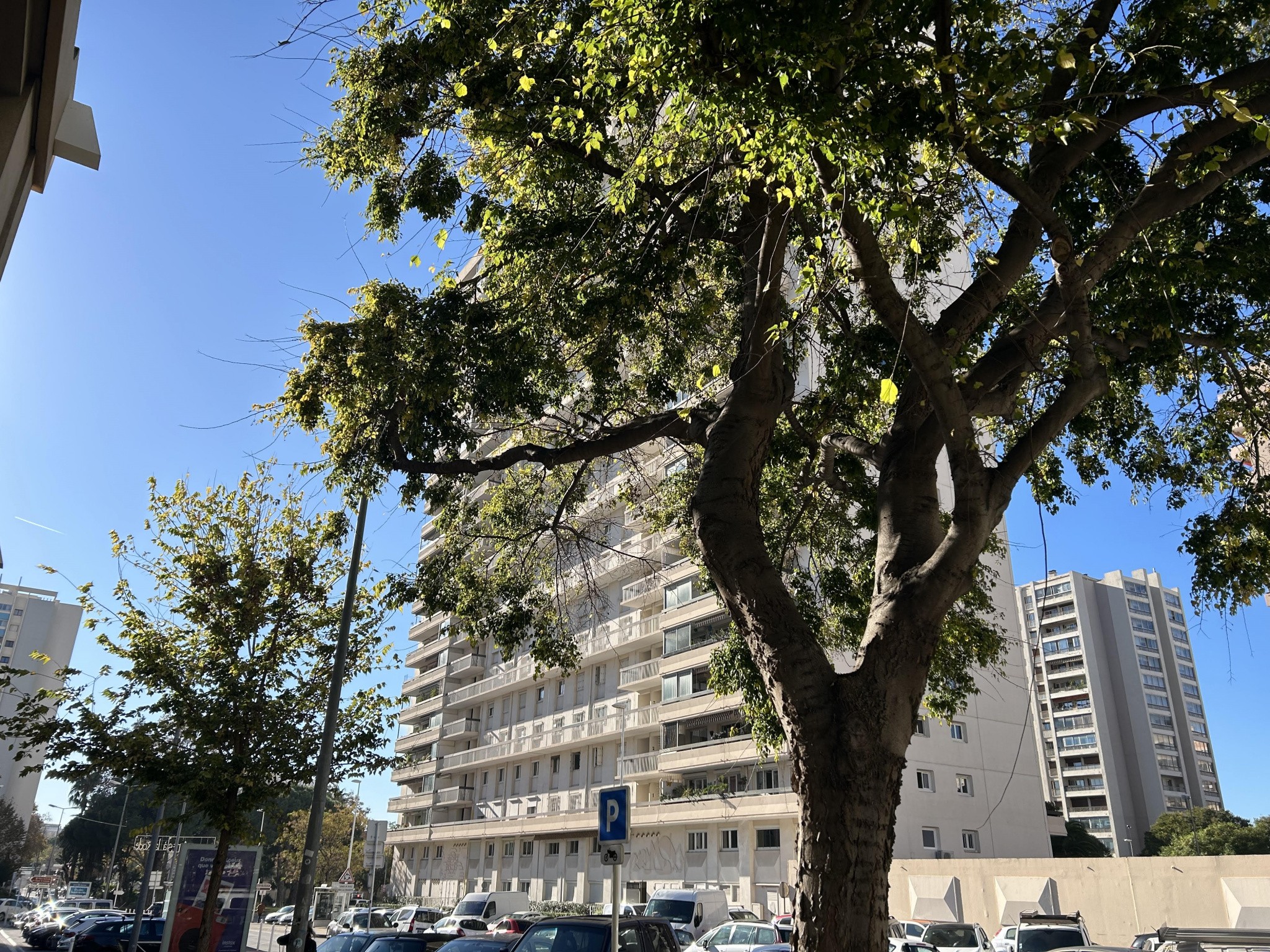 Vente Appartement à Toulon 3 pièces