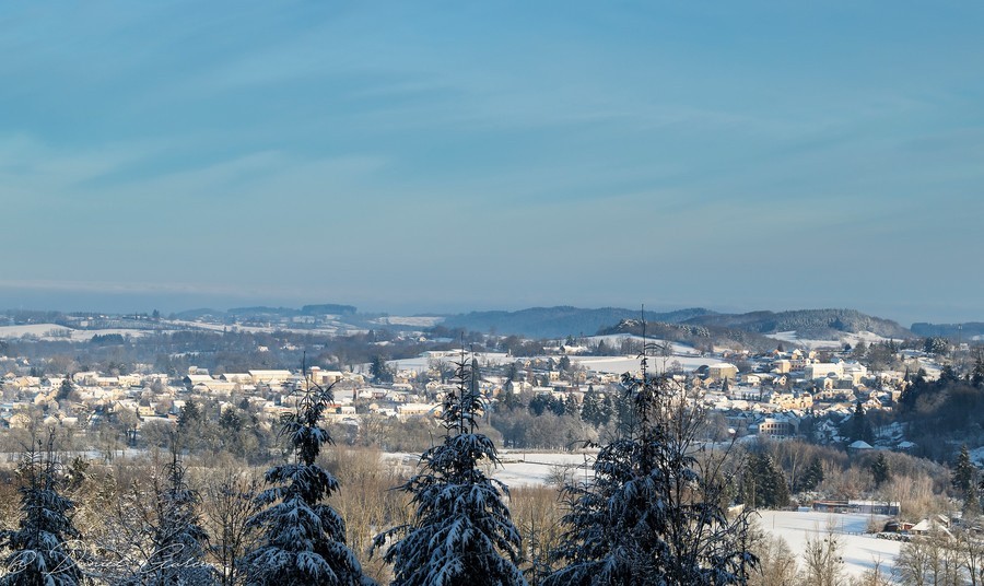 Vente Bureau / Commerce à le Mayet-de-Montagne 6 pièces