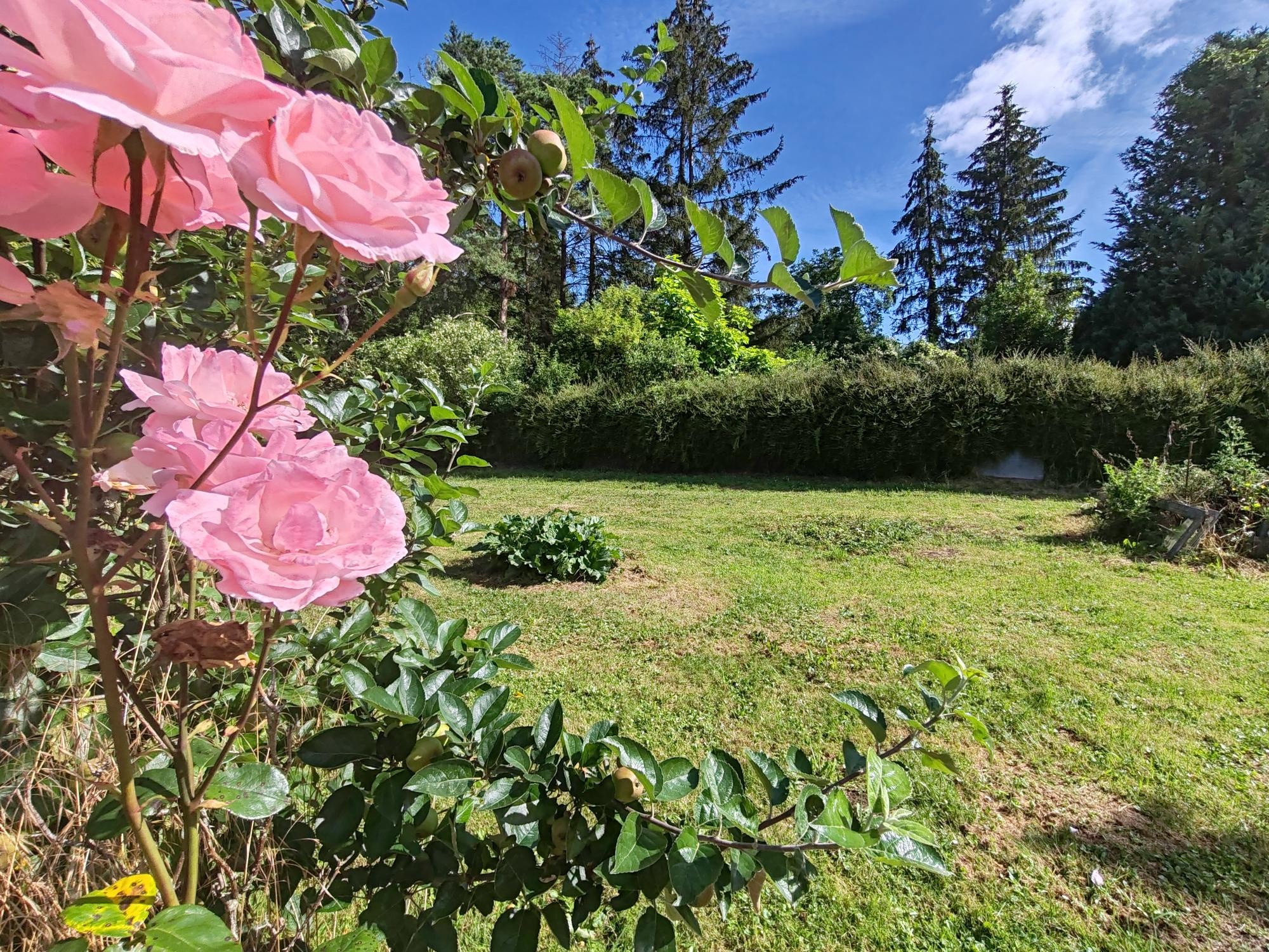 Vente Maison à Villers-Cotterêts 8 pièces