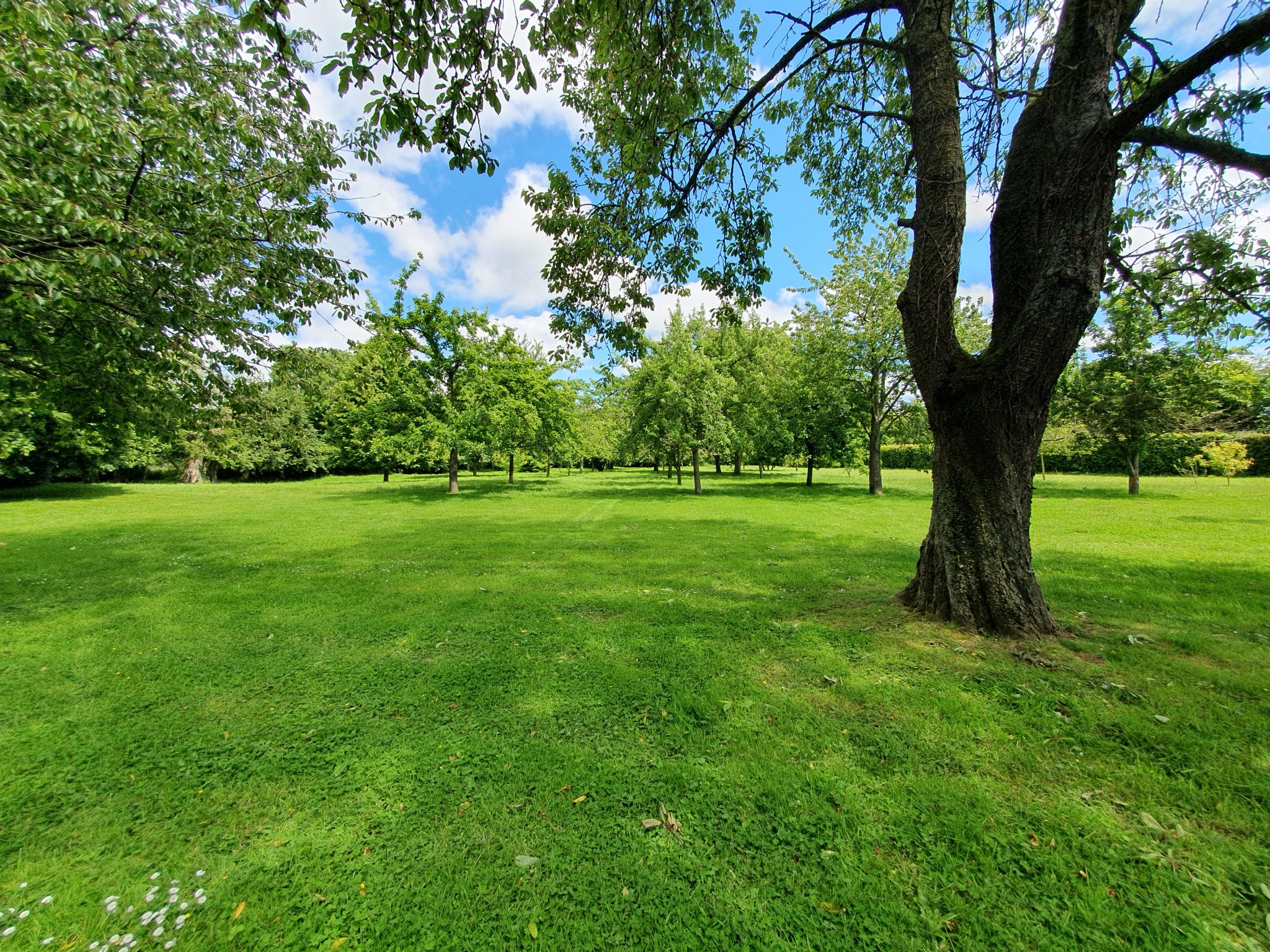 Vente Maison à Cormeilles 7 pièces