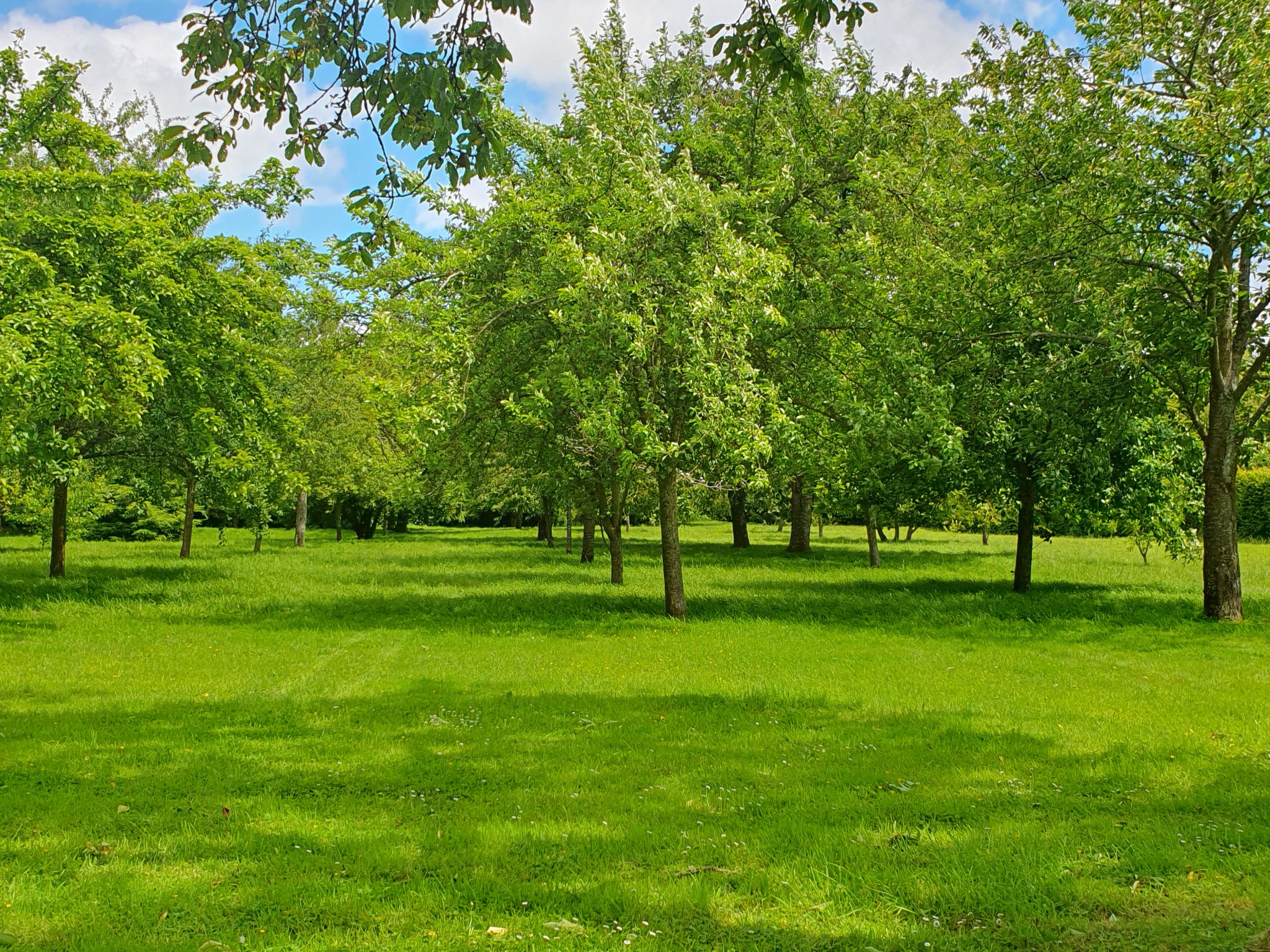 Vente Maison à Cormeilles 7 pièces