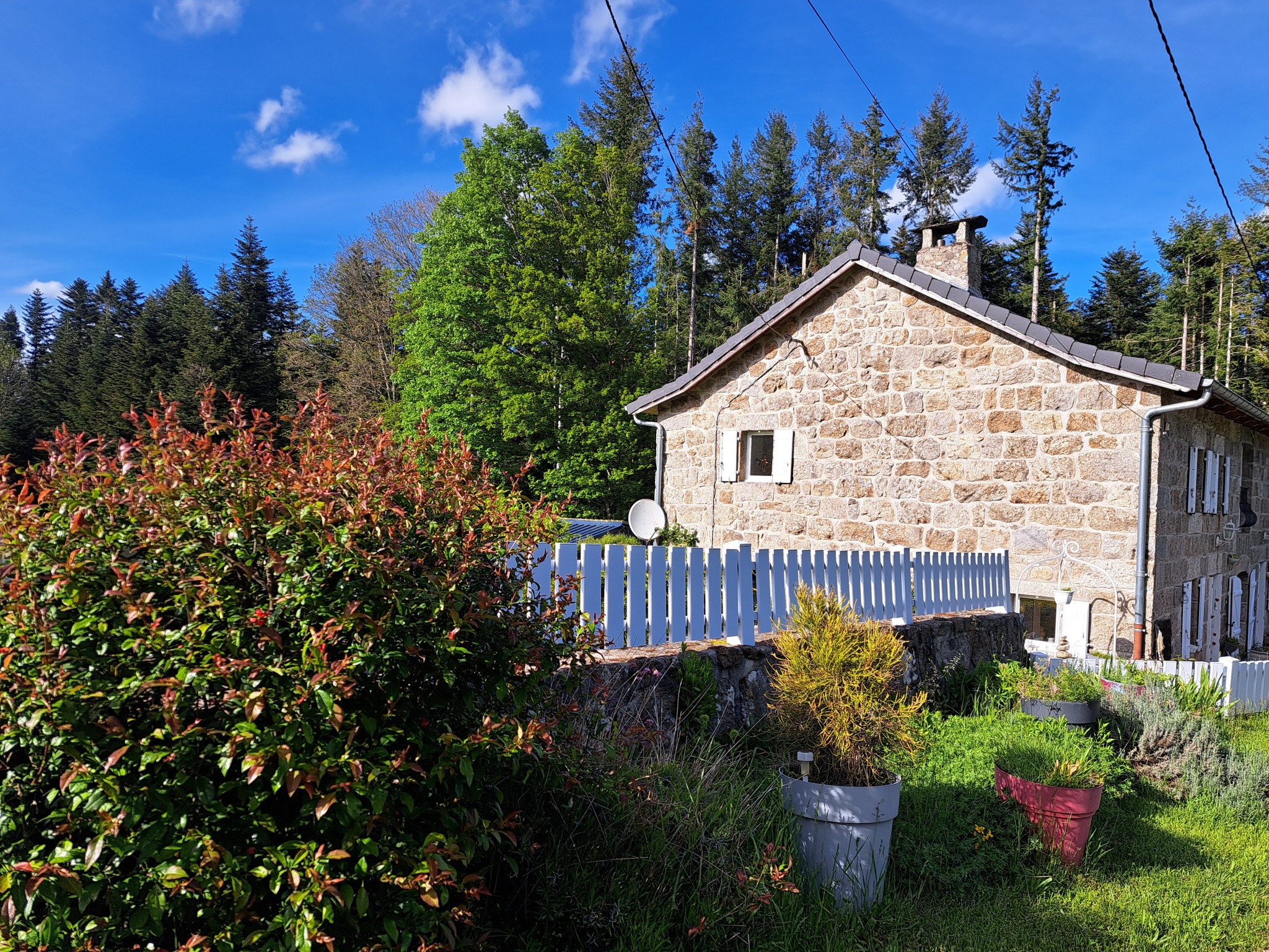 Vente Maison à Mazet-Saint-Voy 6 pièces