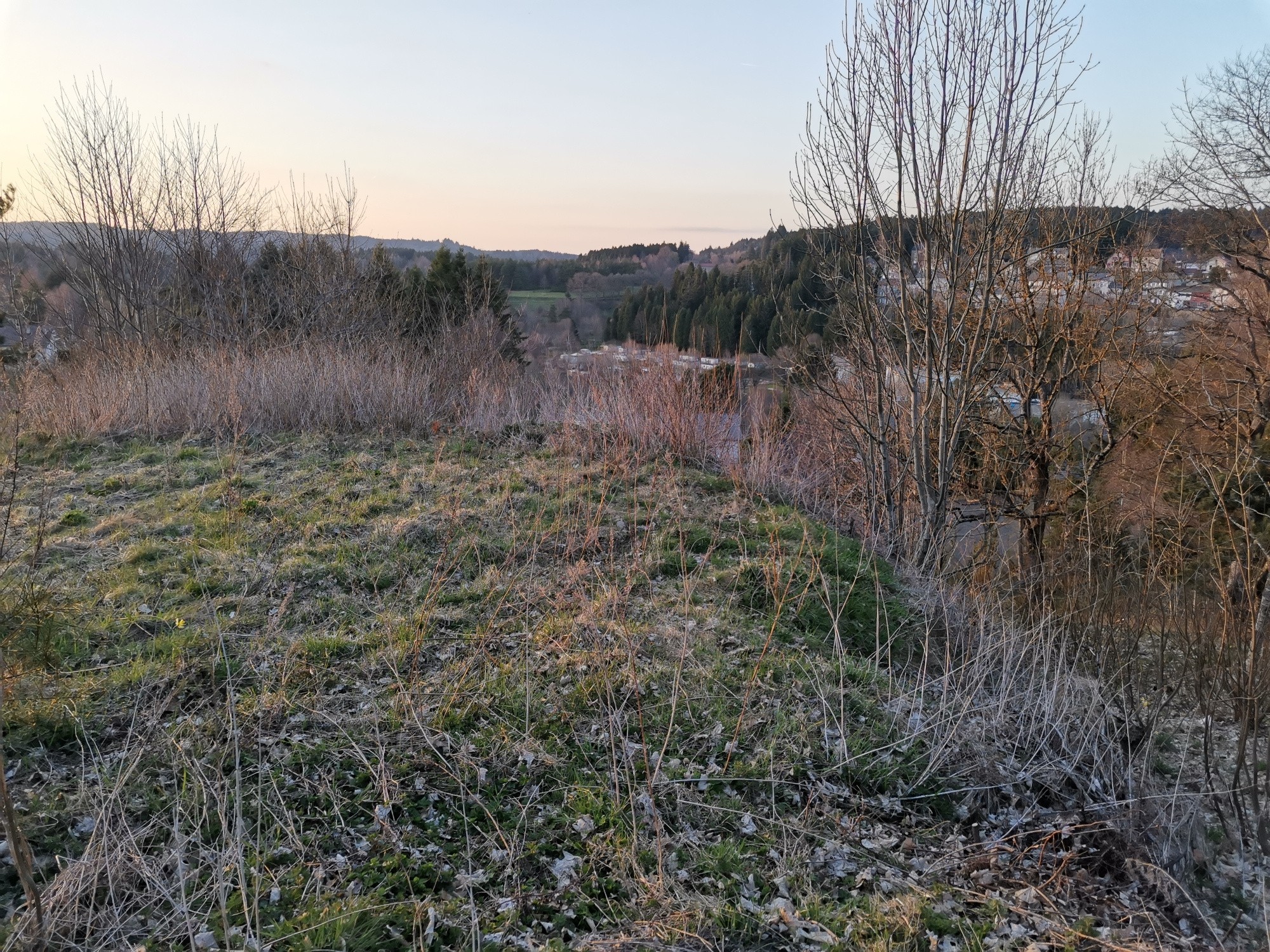 Vente Terrain à le Chambon-sur-Lignon 0 pièce