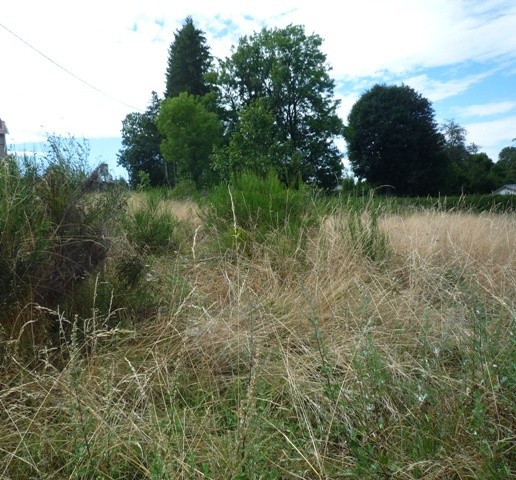 Vente Terrain à le Chambon-sur-Lignon 0 pièce