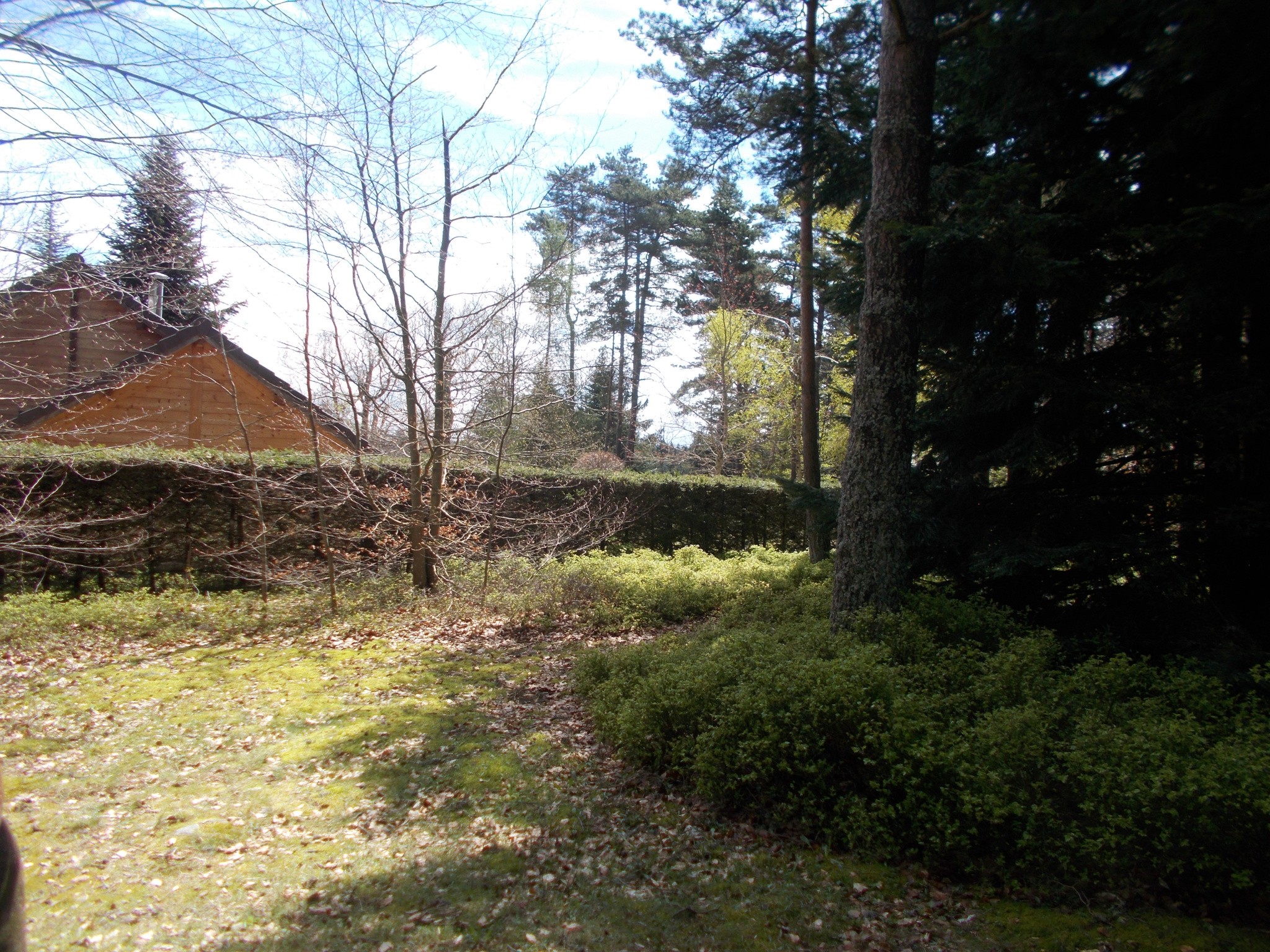 Vente Maison à le Chambon-sur-Lignon 3 pièces