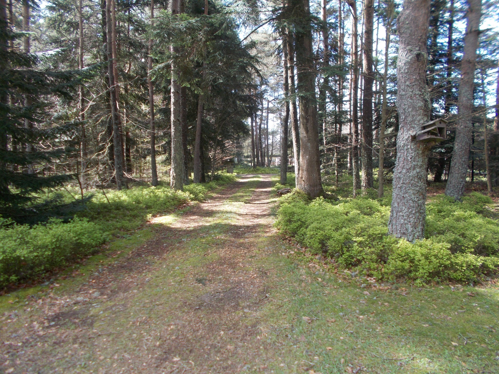 Vente Maison à le Chambon-sur-Lignon 3 pièces