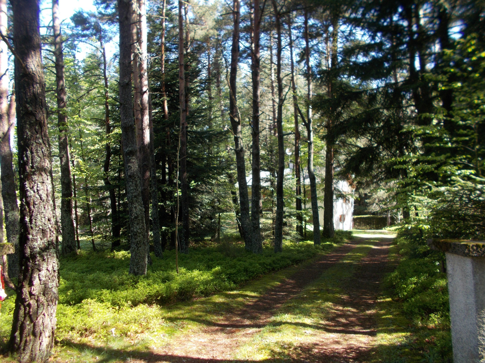 Vente Maison à le Chambon-sur-Lignon 3 pièces