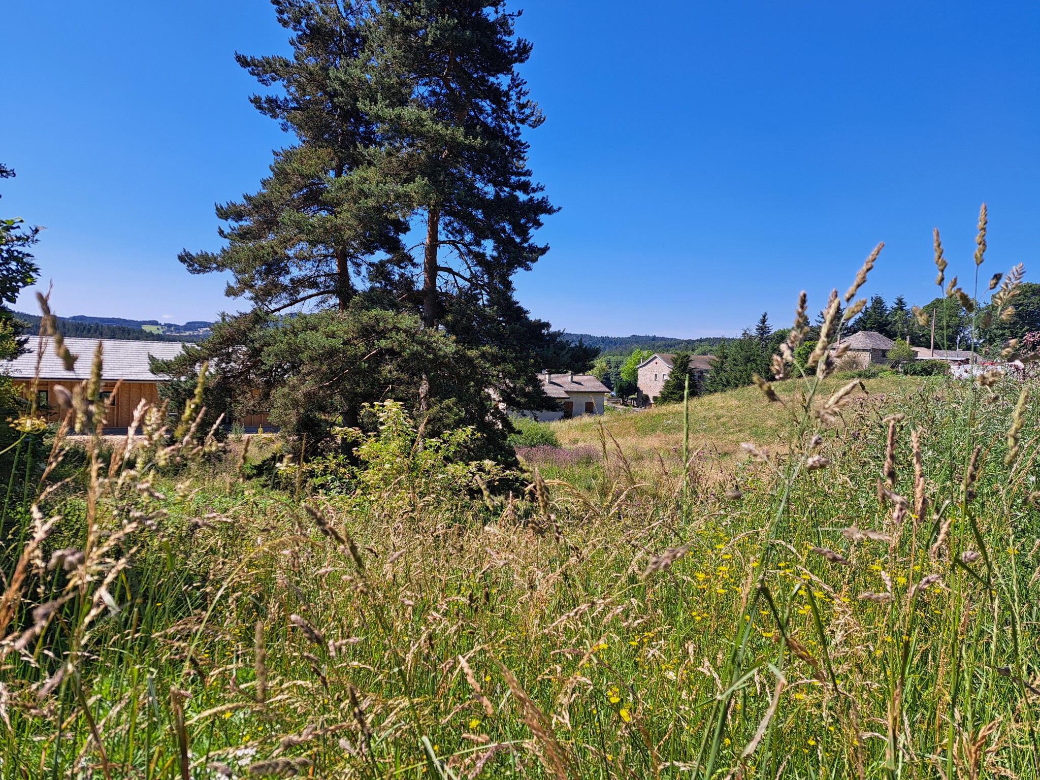 Vente Terrain à le Chambon-sur-Lignon 0 pièce