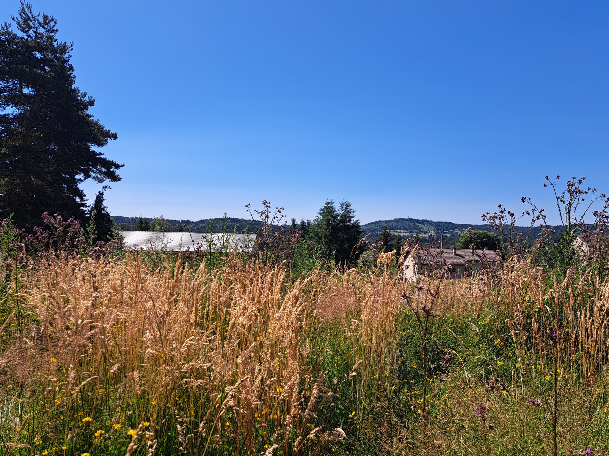 Vente Terrain à le Chambon-sur-Lignon 0 pièce