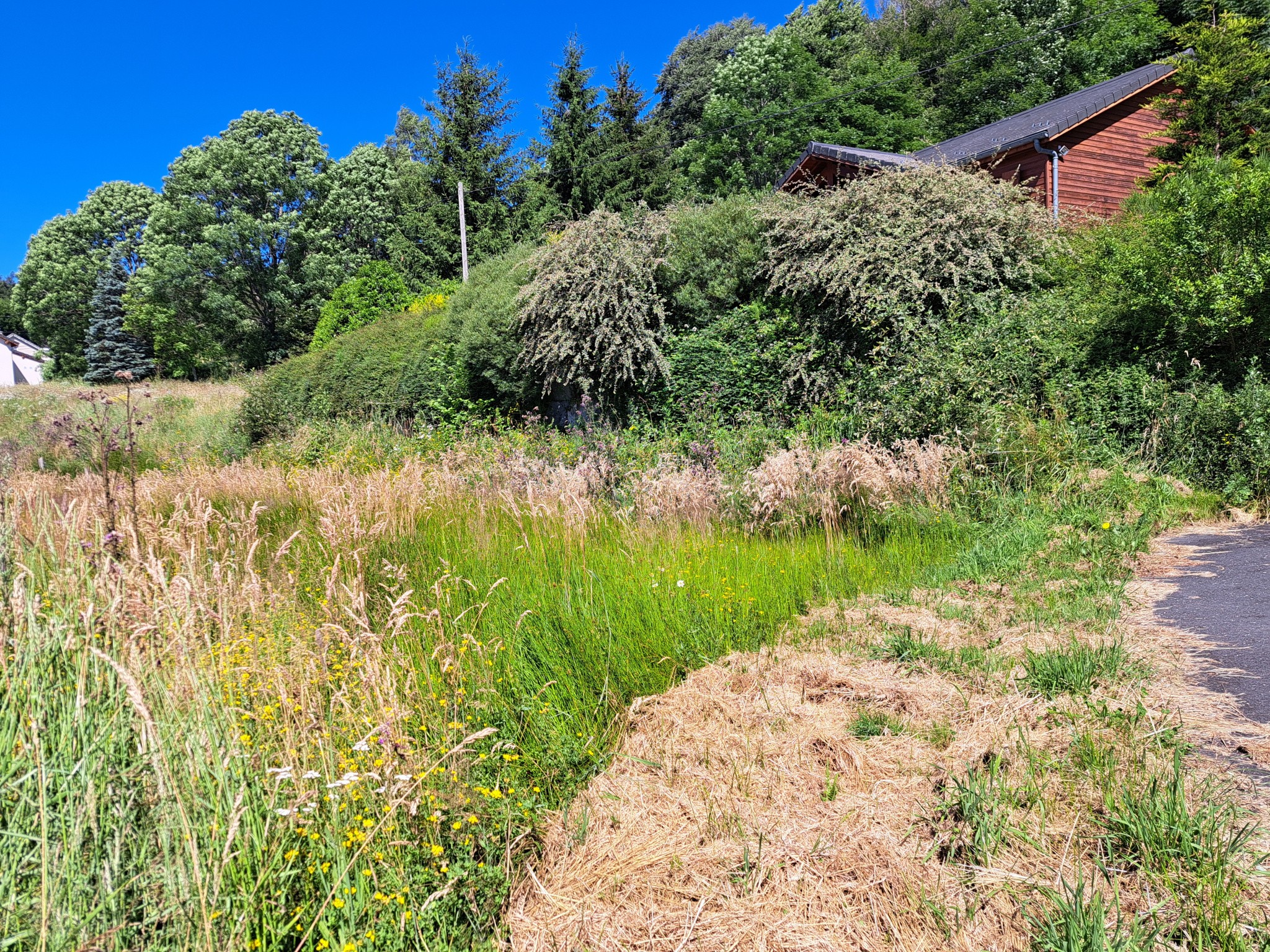 Vente Terrain à le Chambon-sur-Lignon 0 pièce